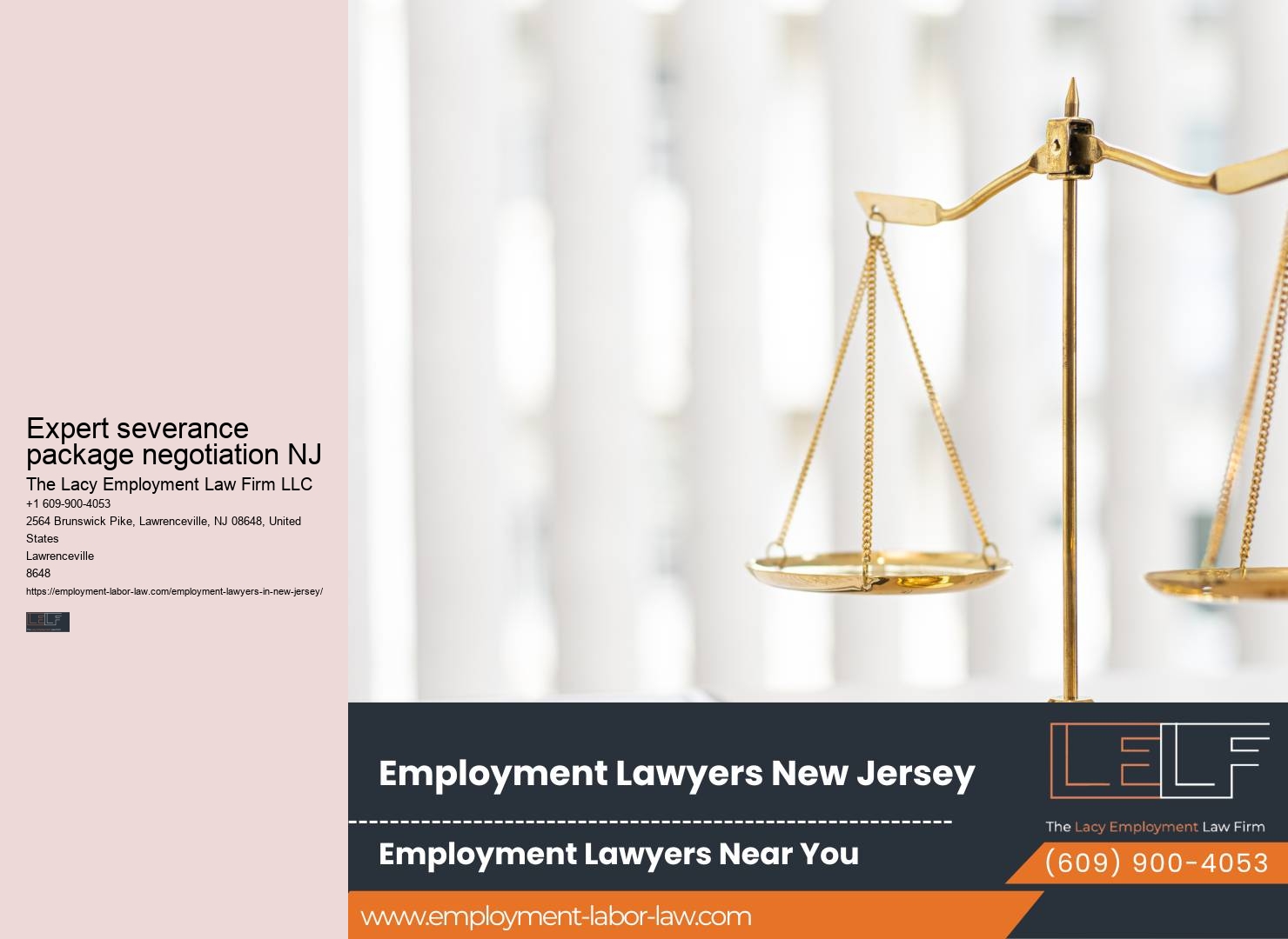 Expert NJ Employment Law Litigation Support