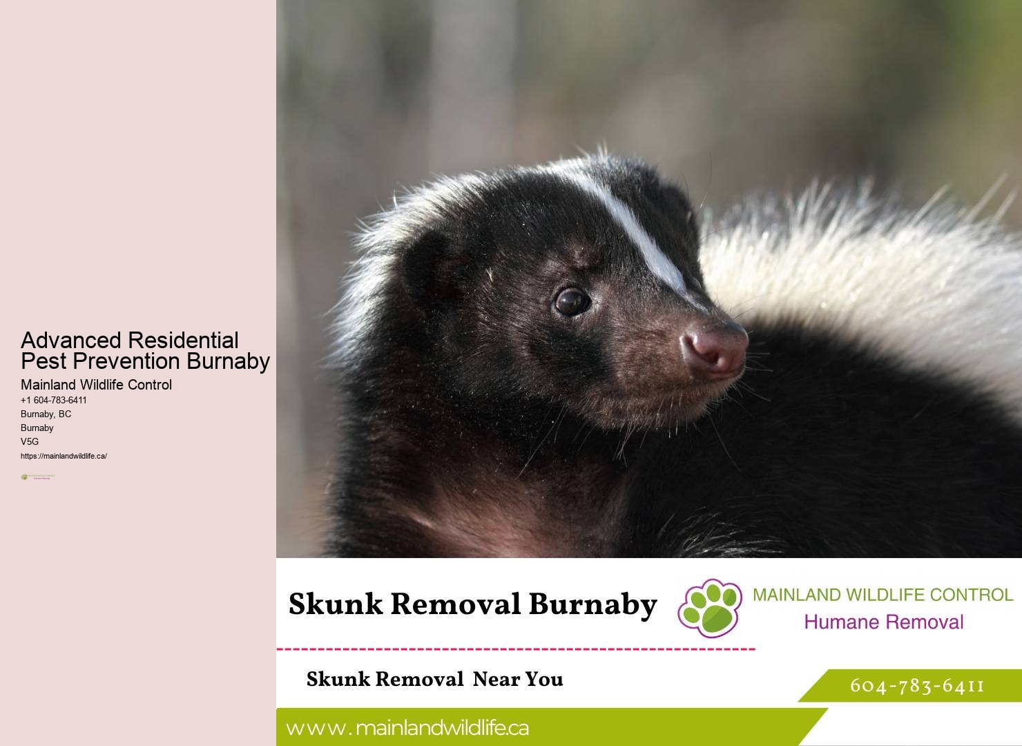 Burnaby pest eradication