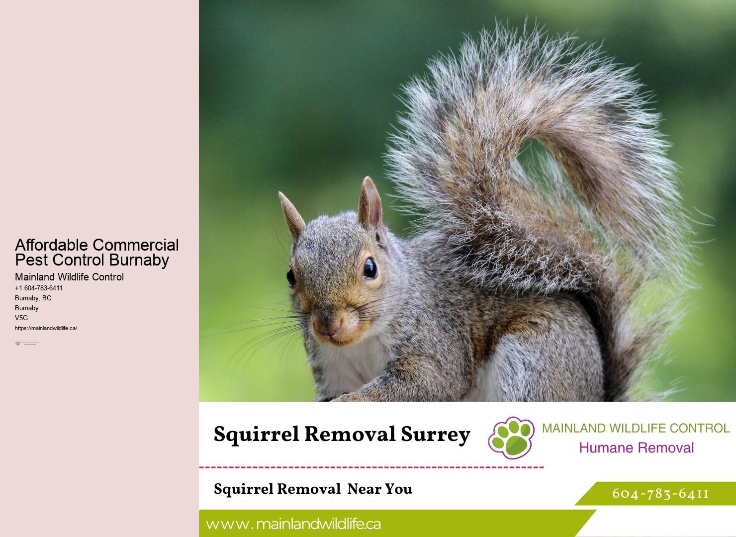 Advanced Eco-conscious Pest Removal Burnaby