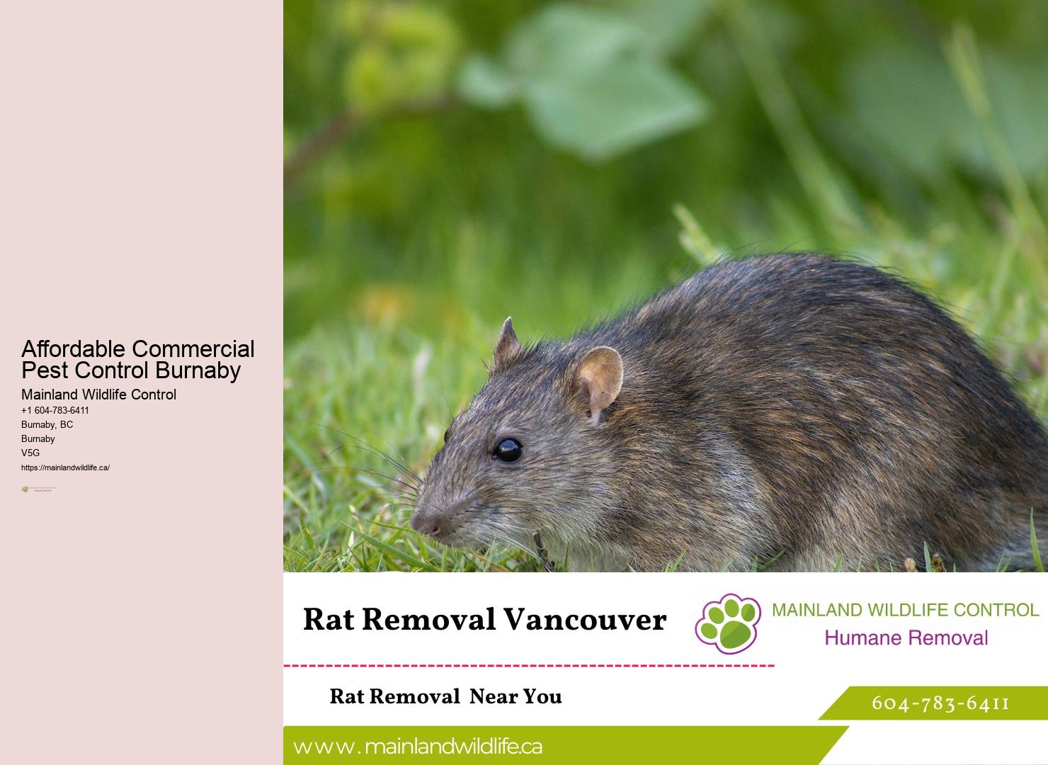 Pest Infestation Treatment Burnaby