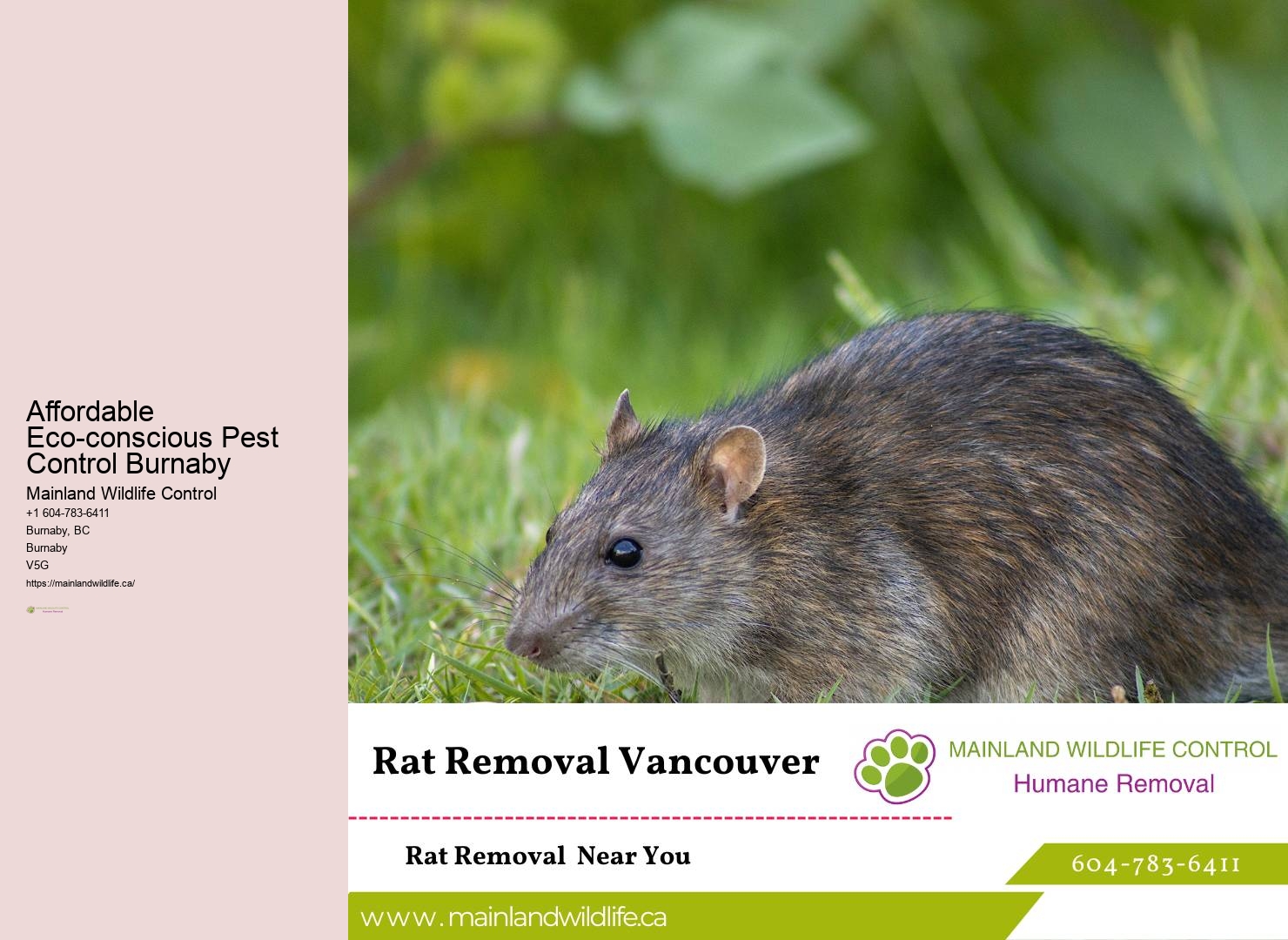Proven Residential Pest Removal Burnaby