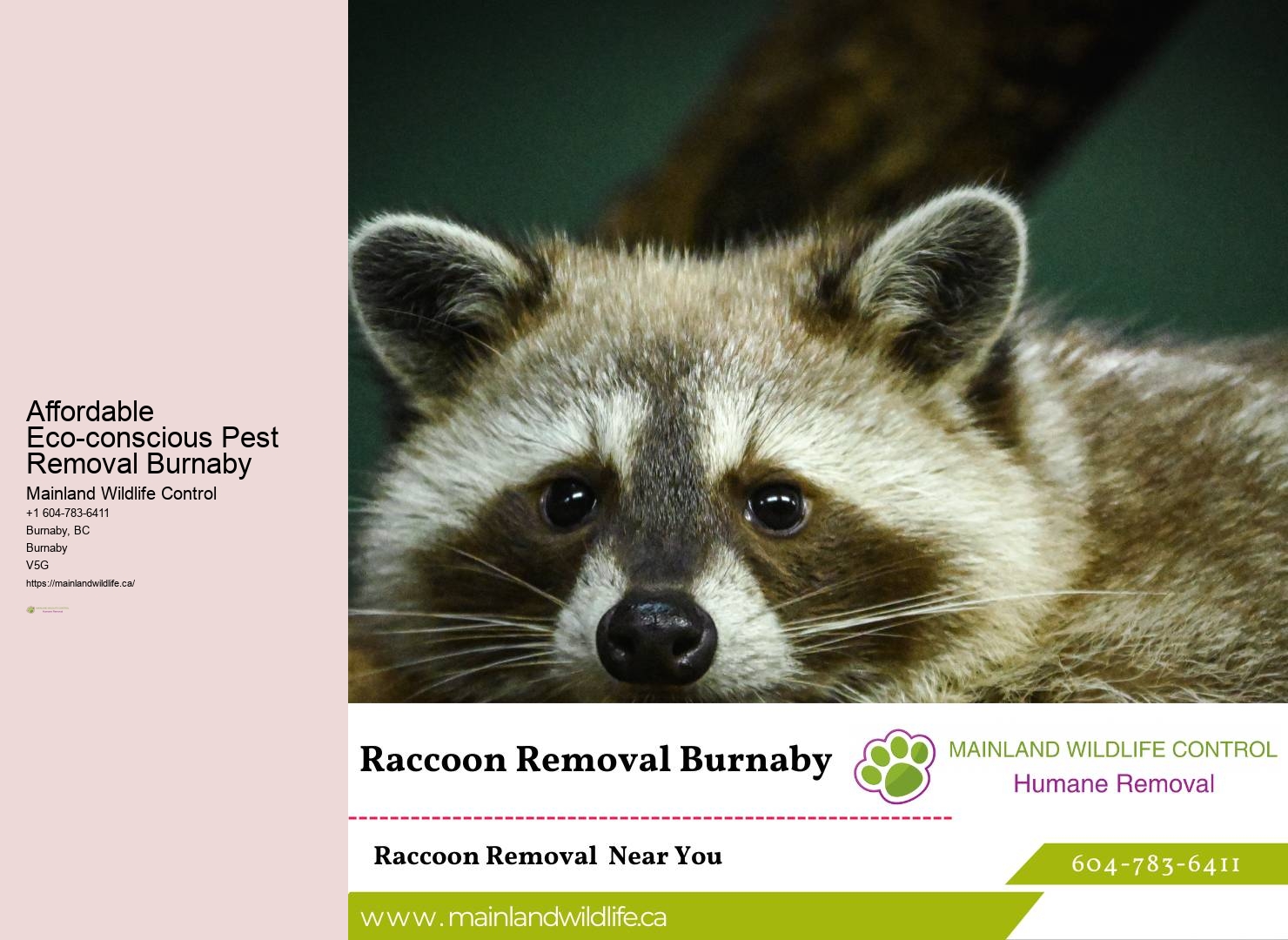 Proven Commercial Pest Removal Burnaby