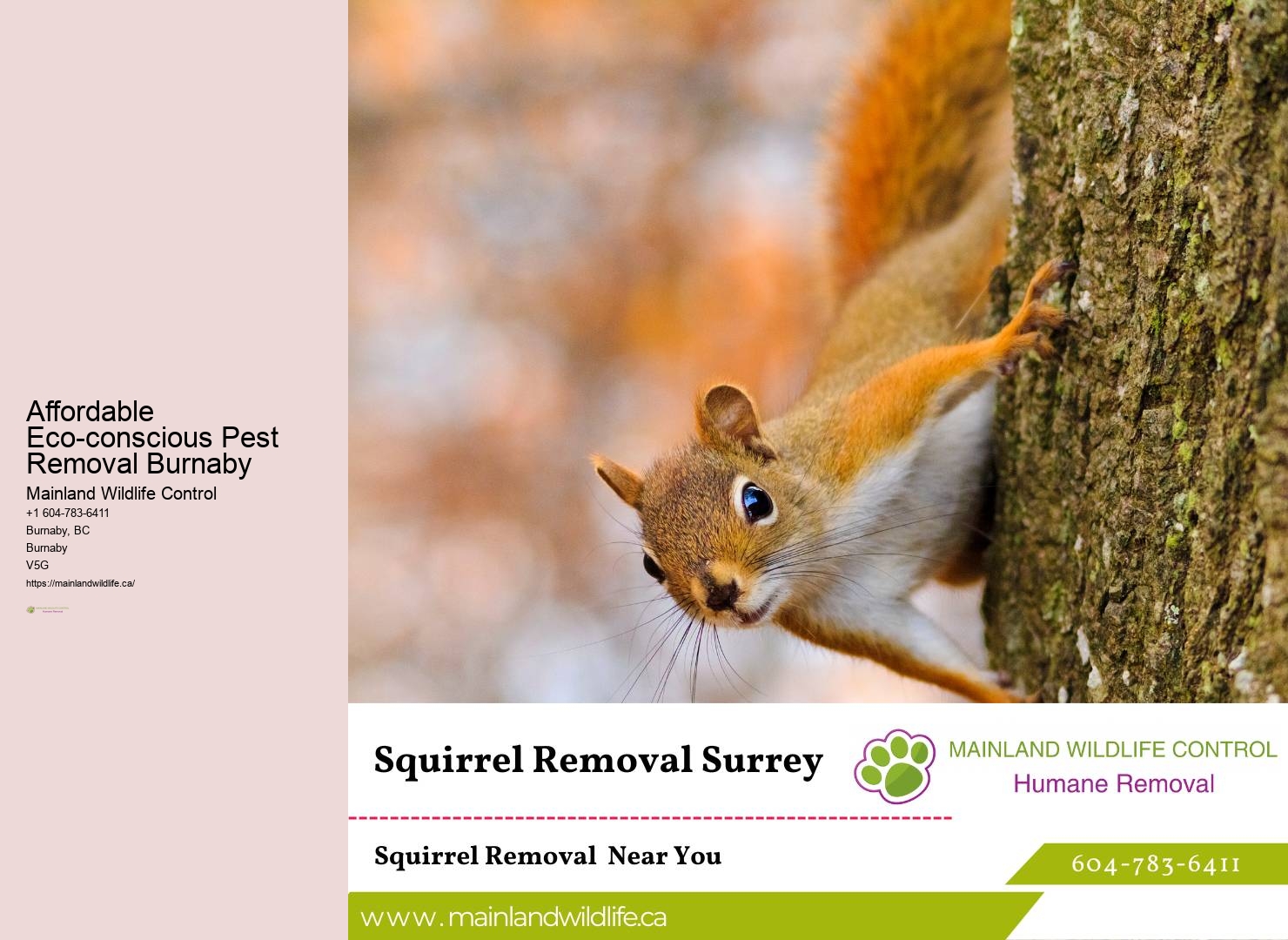 Flexible Pest Control Options Burnaby