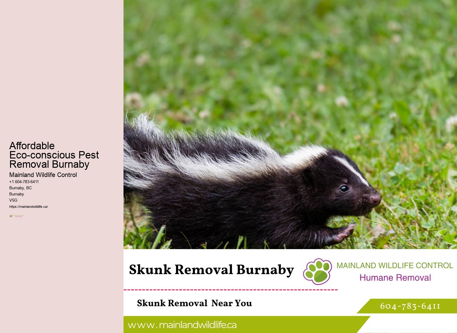 Reliable Residential Pest Eradication Burnaby
