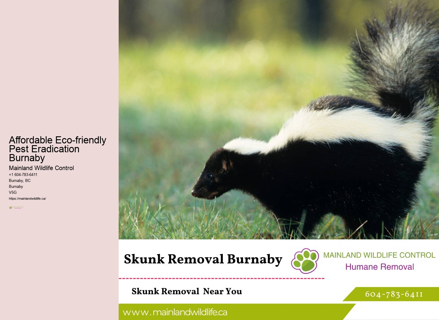 State-of-the-art Pest Control Tools Burnaby