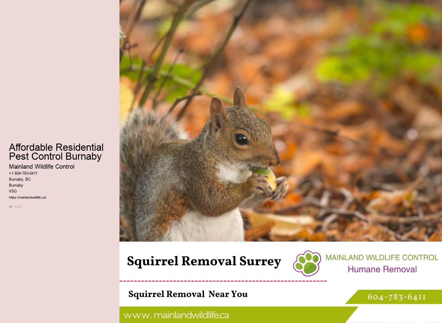 Niche Pest Control Solutions Burnaby