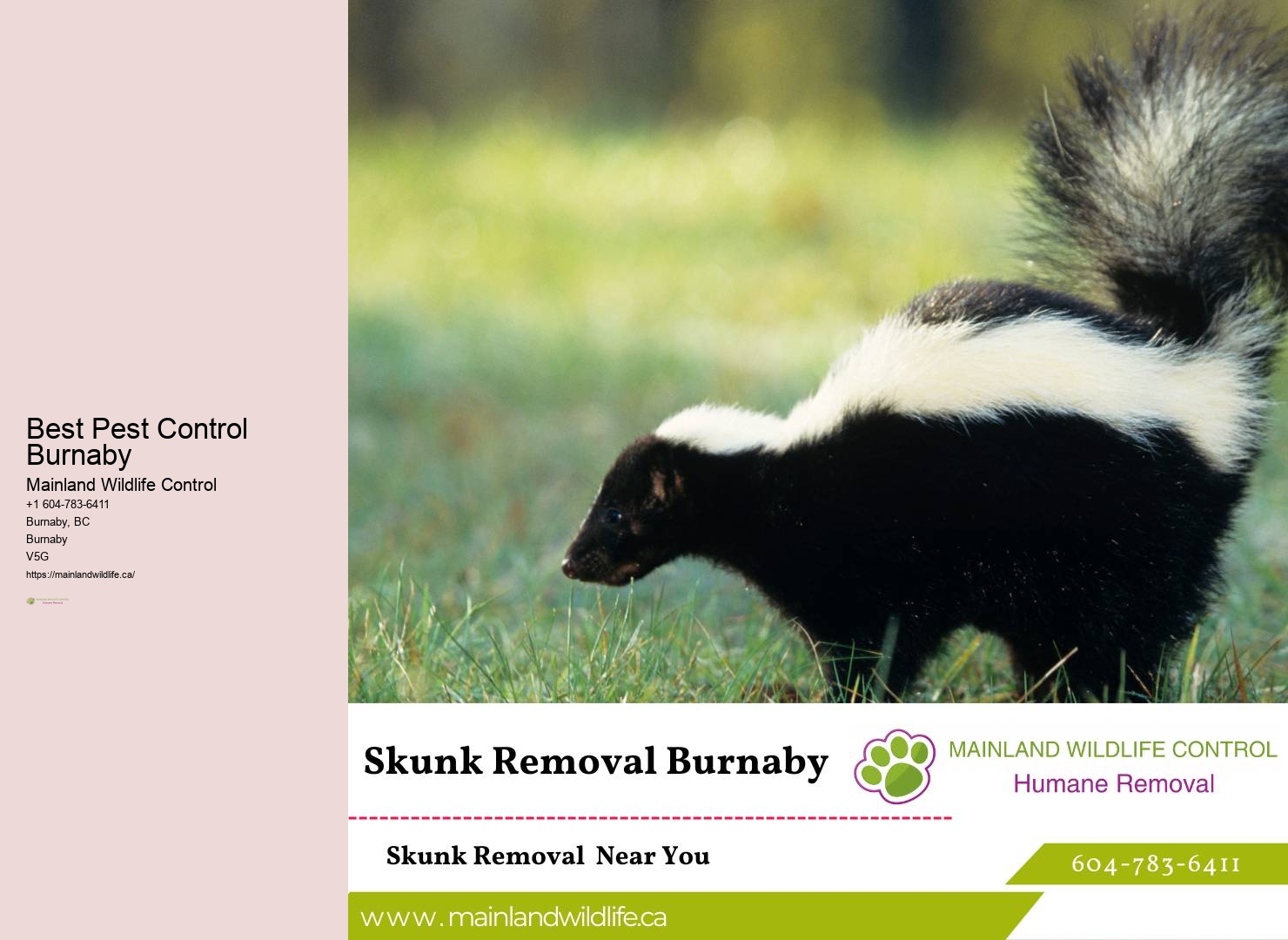 Reliable Commercial Pest Eradication Burnaby