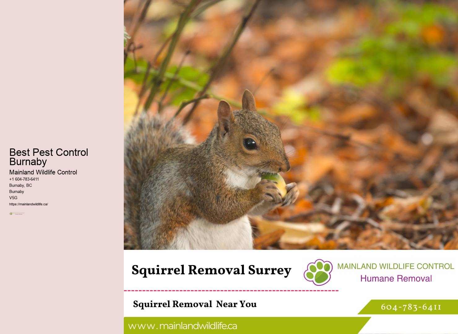 Exemplary Pest Control Solutions Burnaby
