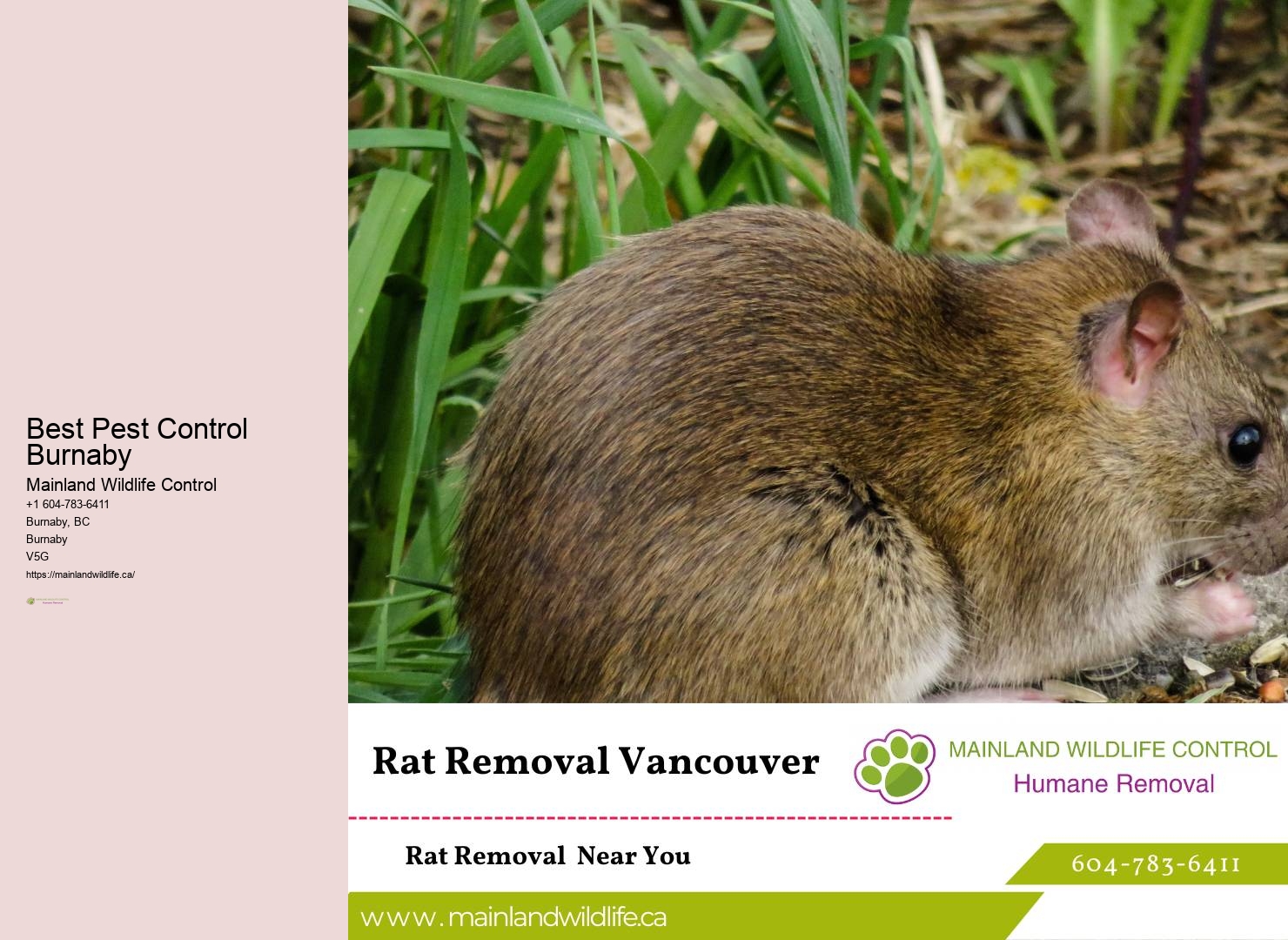 Customer-focused Pest Control Experience Burnaby
