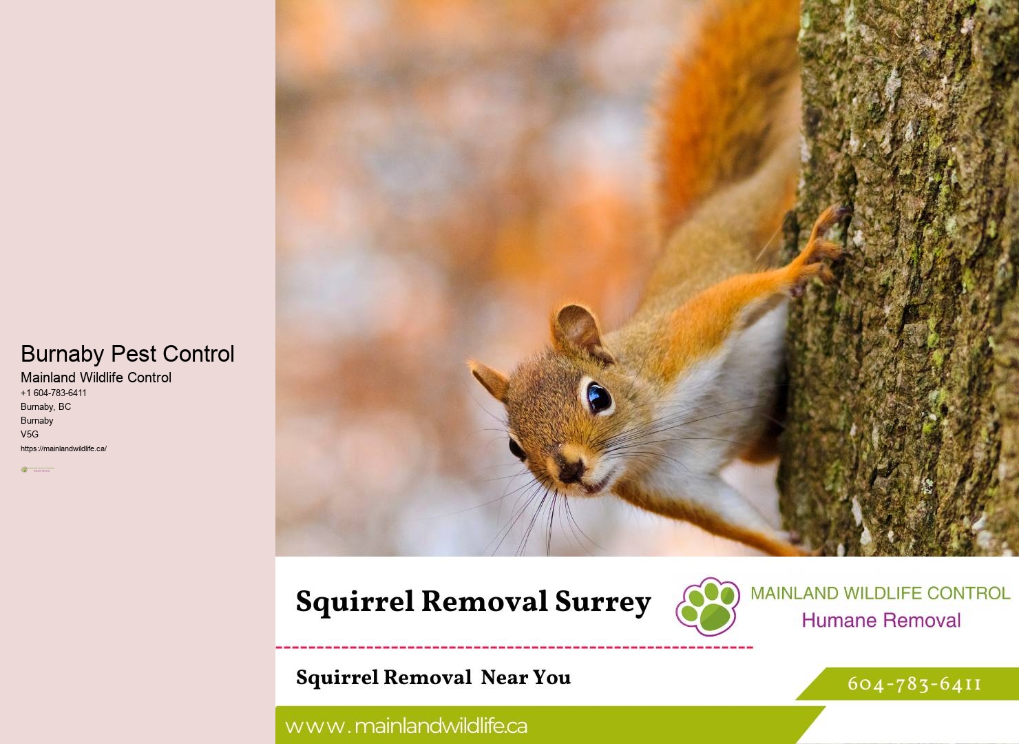 Integrated Pest Solutions Burnaby