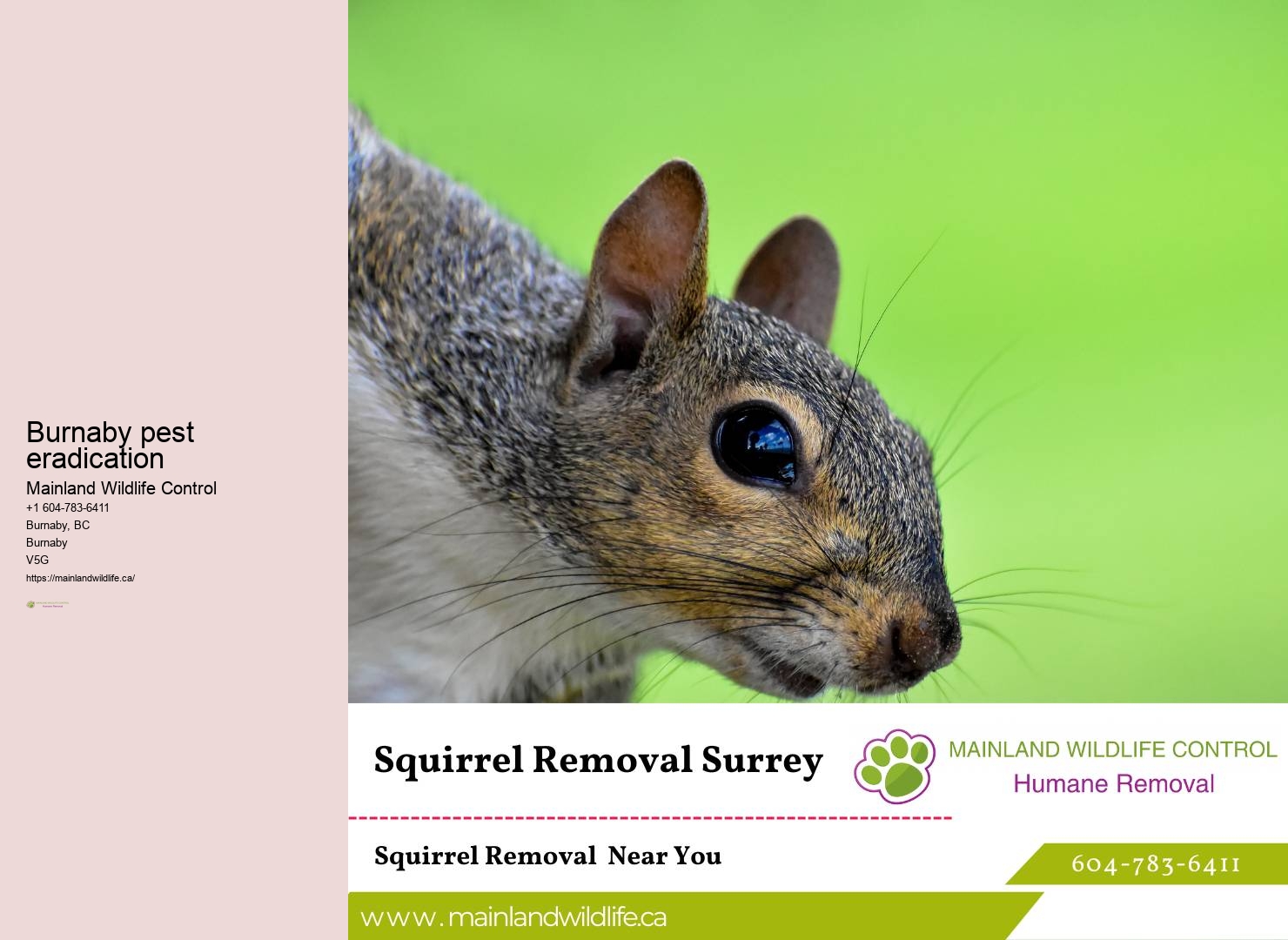 Reliable Pest Control Approaches Burnaby