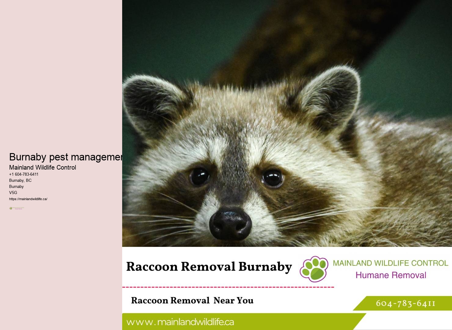 Eco-conscious Pest Control Solutions Burnaby