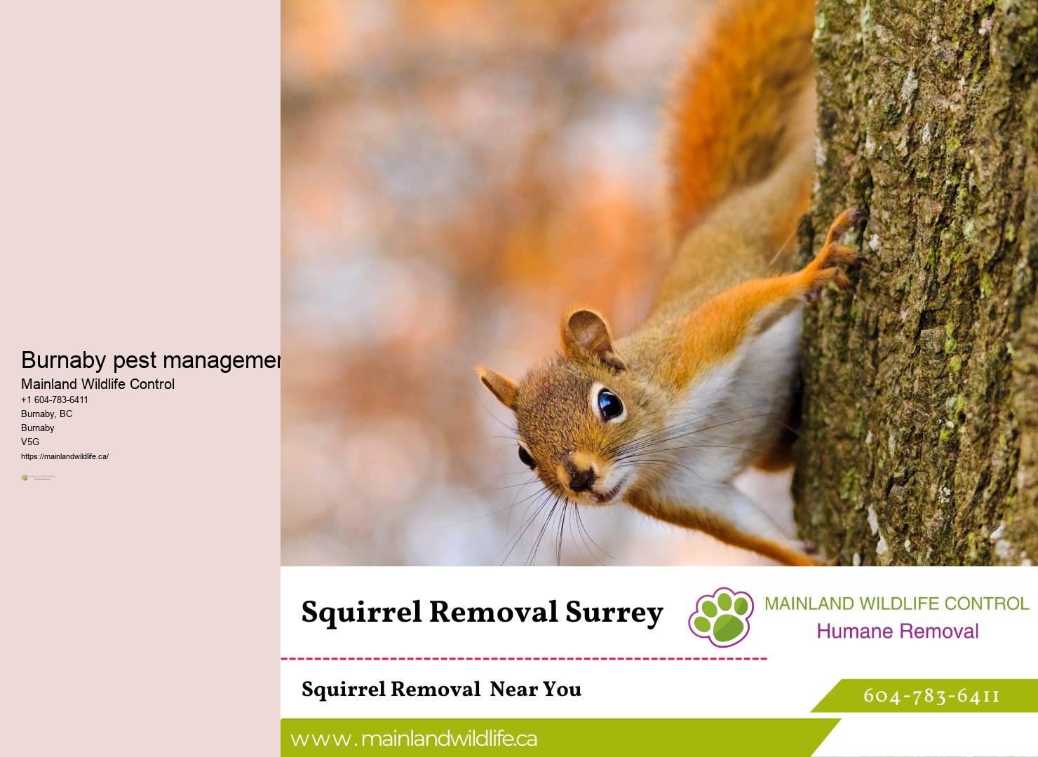 Professional Commercial Pest Eradication Burnaby
