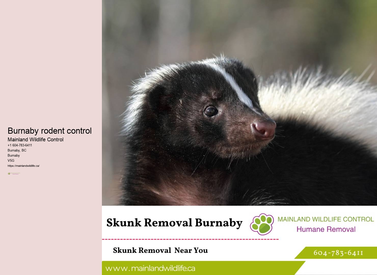 Top-rated Eco-conscious Pest Extermination Burnaby