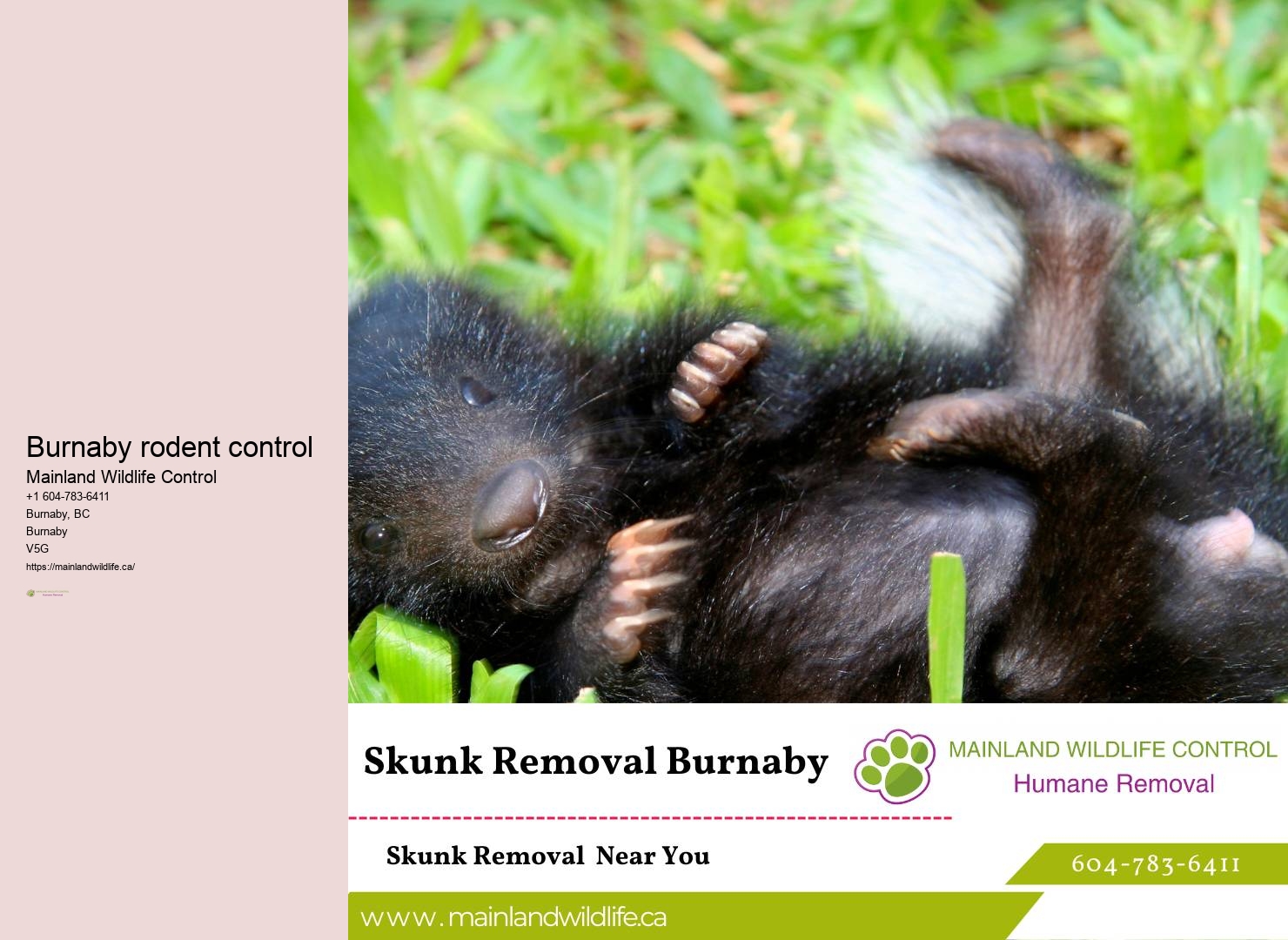 Sustainable Pest Control Practices Burnaby