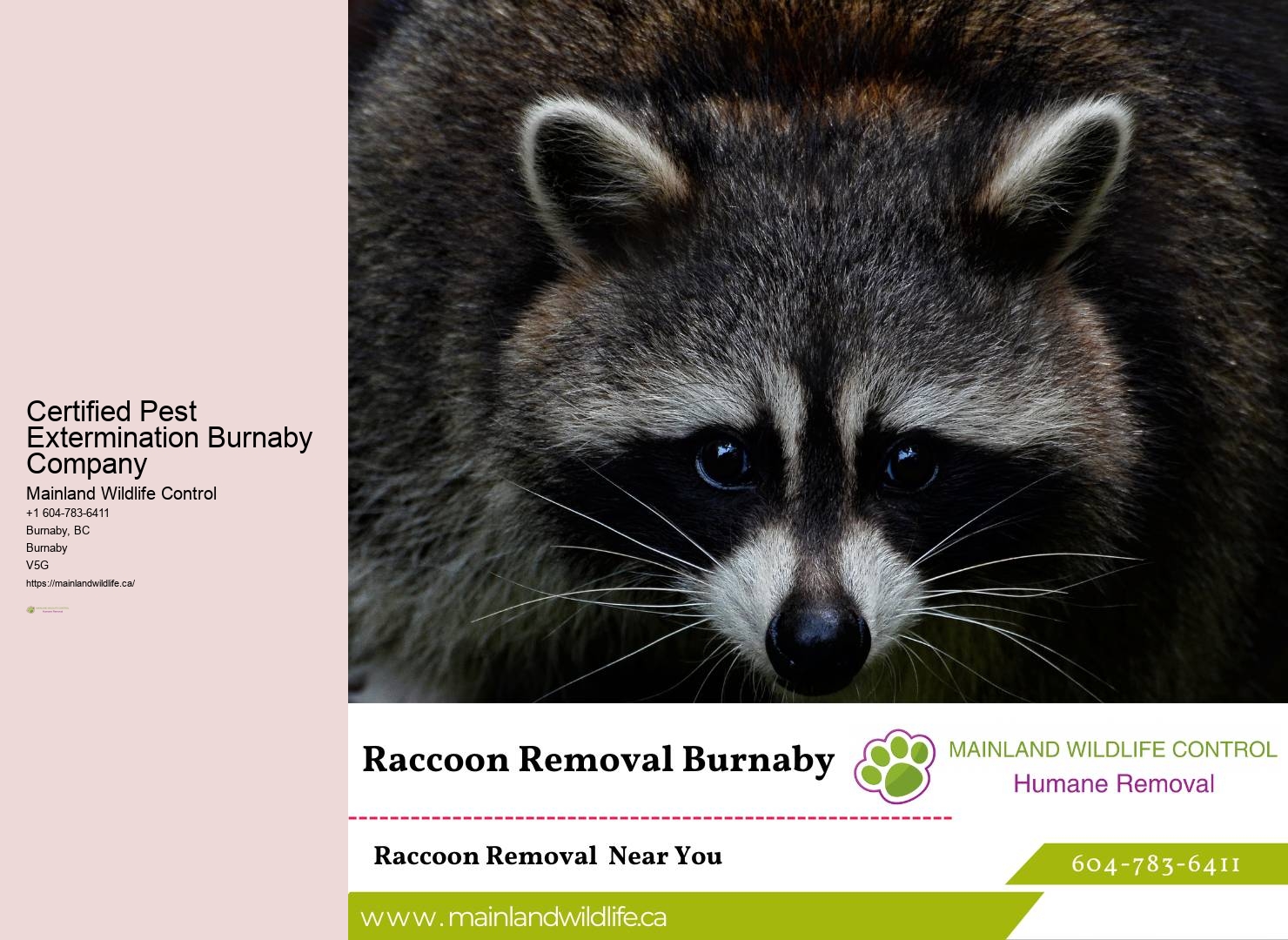 Eco-conscious Pest Prevention Burnaby