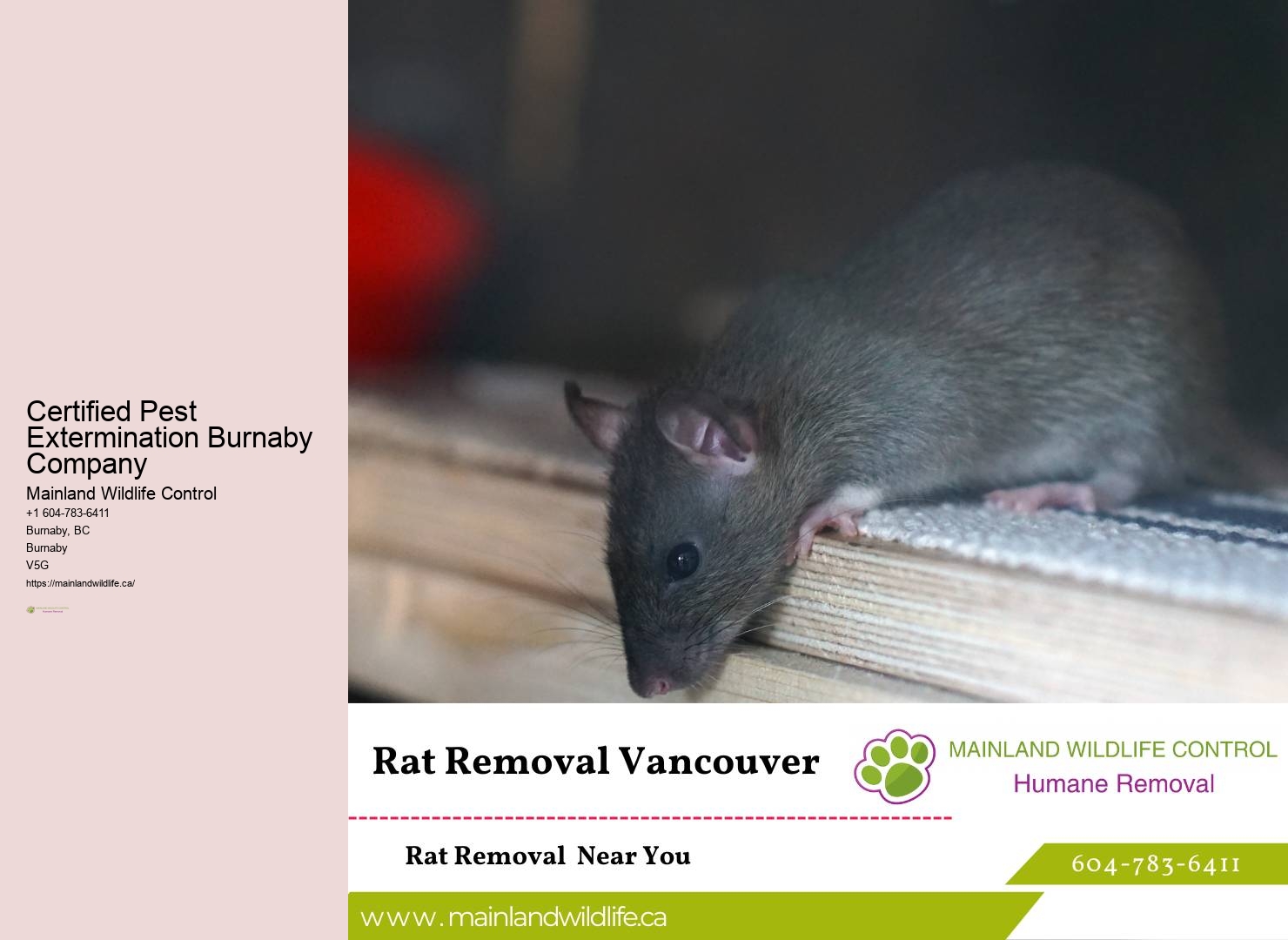 Certified Pest Control Burnaby