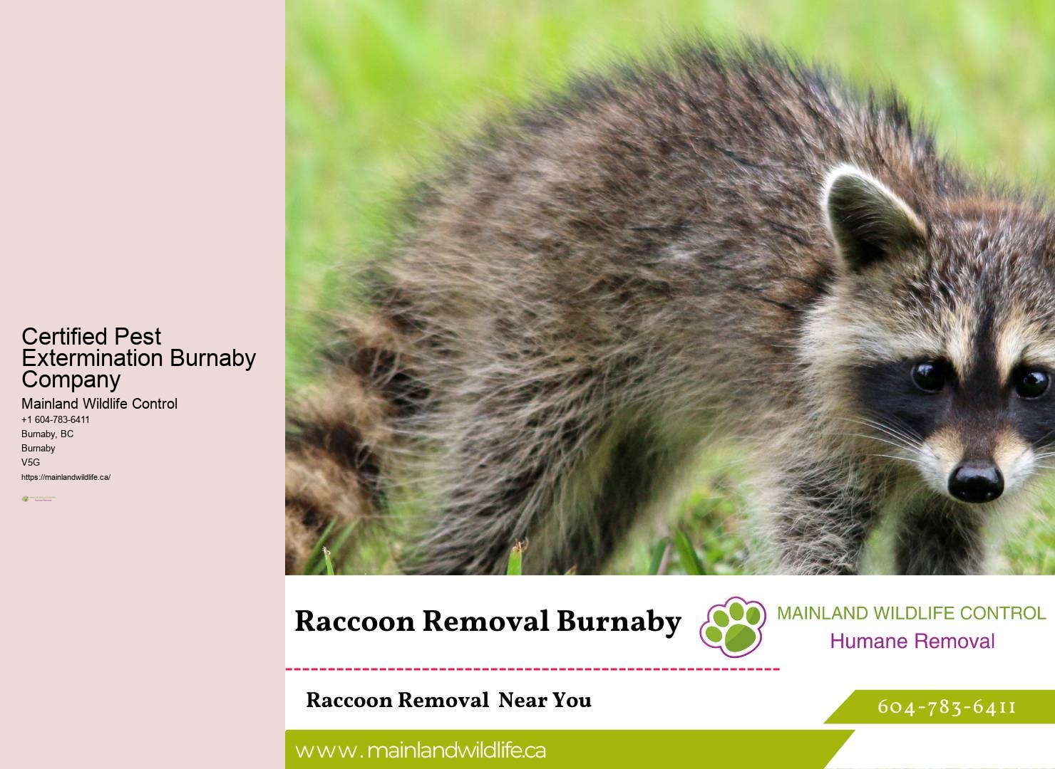 Affordable Eco-friendly Pest Eradication Burnaby