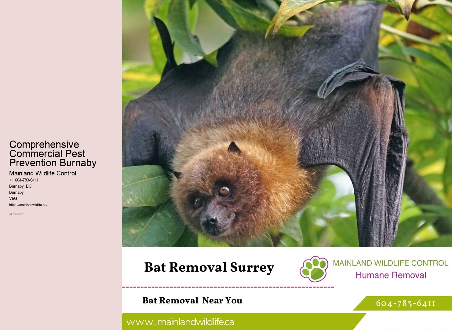 Organic Pest Control Burnaby