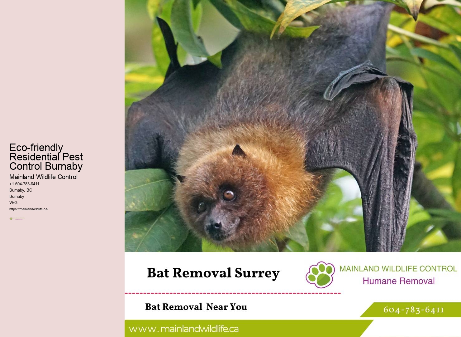 Burnaby pest management