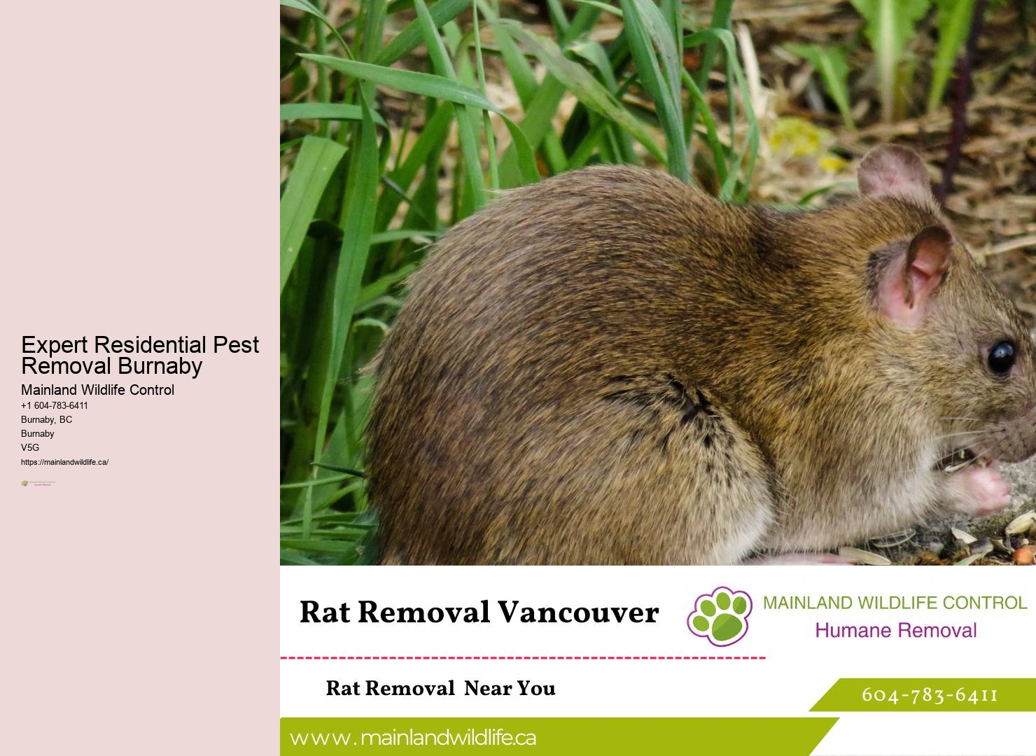 Trusted Eco-friendly Pest Control Burnaby