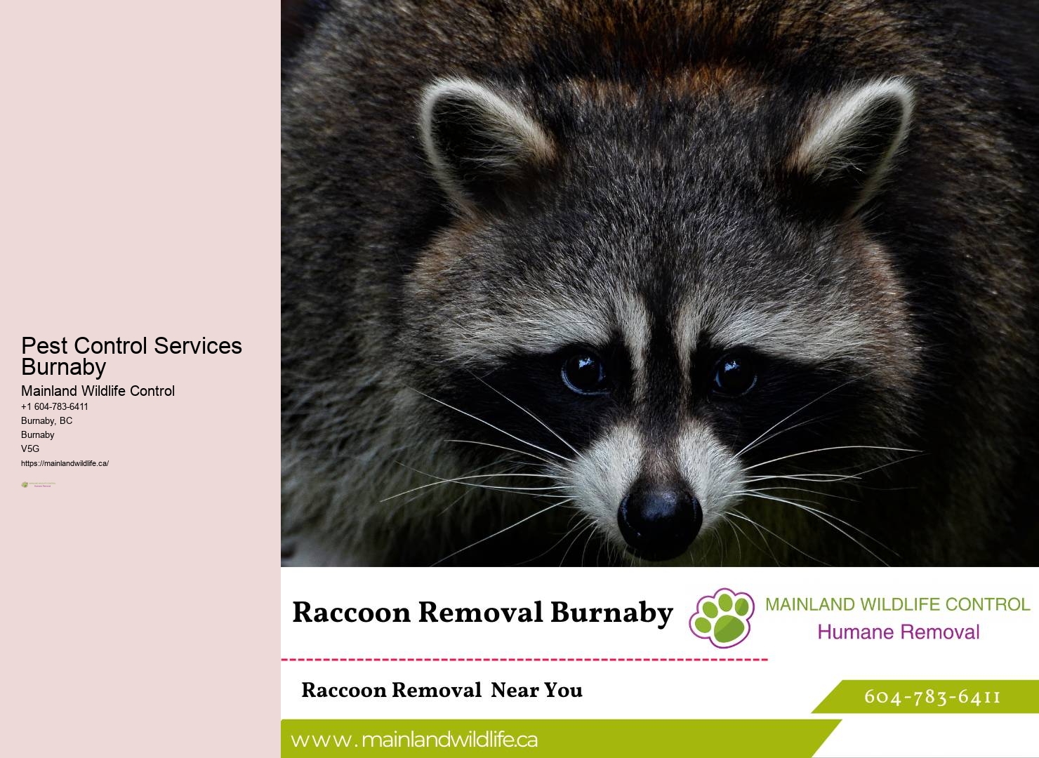 Comprehensive Insect Control Burnaby
