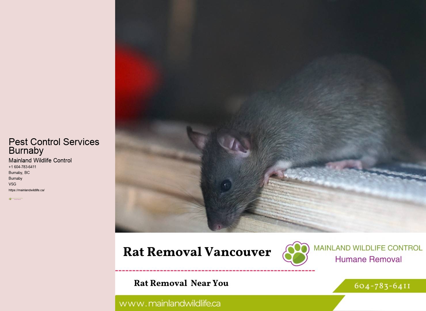 Emergency pest control Burnaby