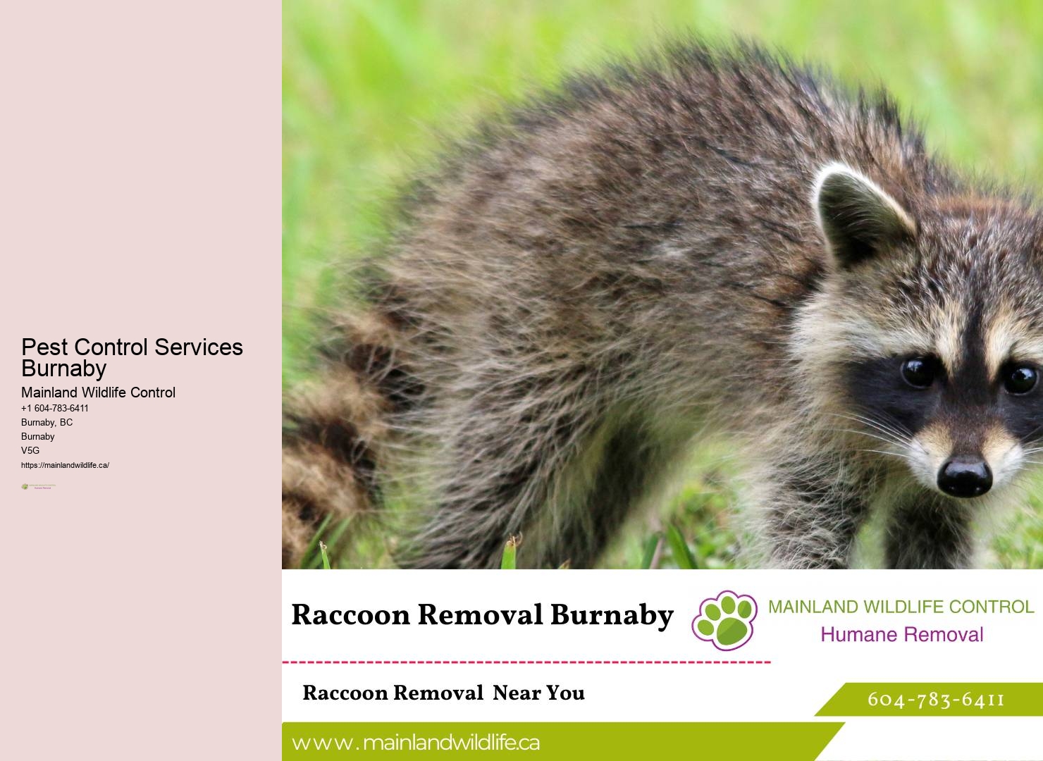 Pest Control Consultation Burnaby