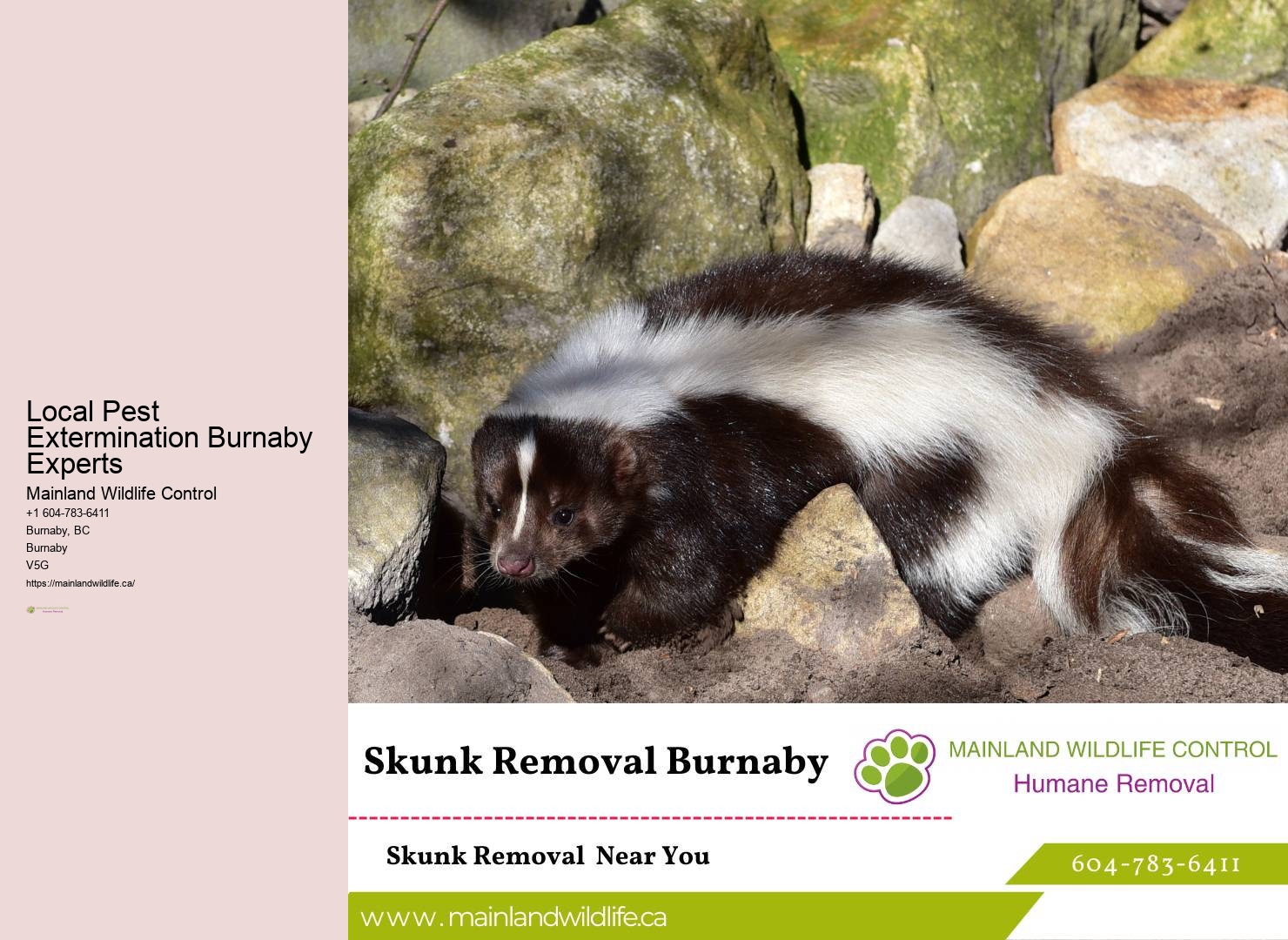 Quick Pest Control Burnaby