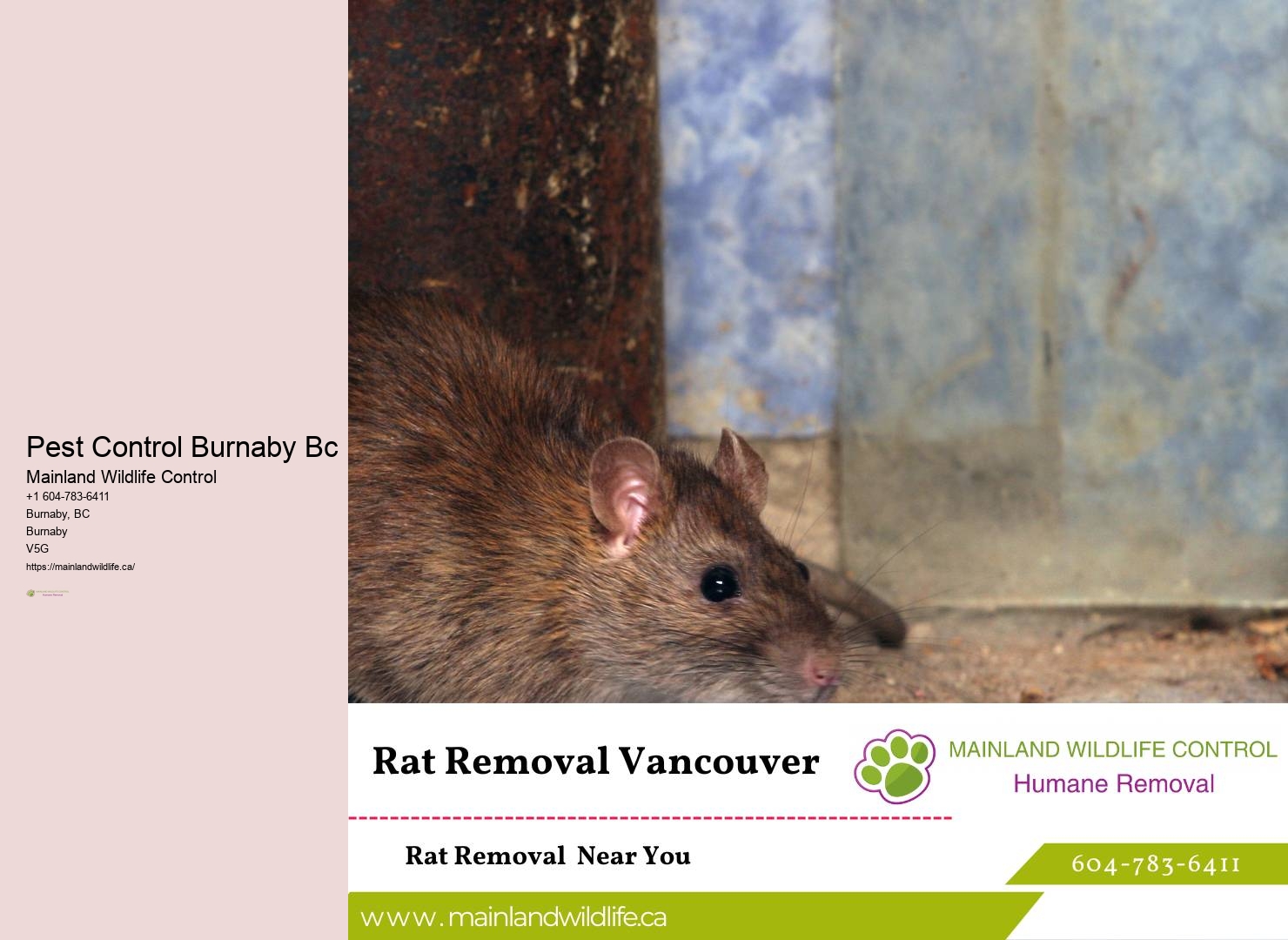Monthly Pest Control Burnaby