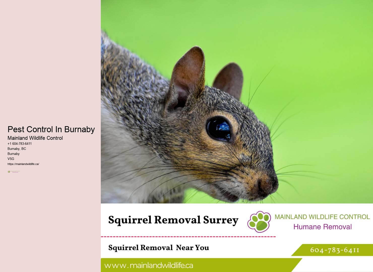 Hassle-free Pest Control Solutions Burnaby