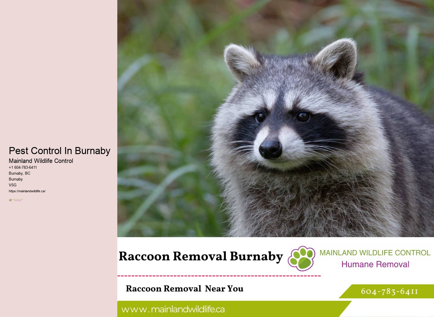 Natural Pest Control Burnaby