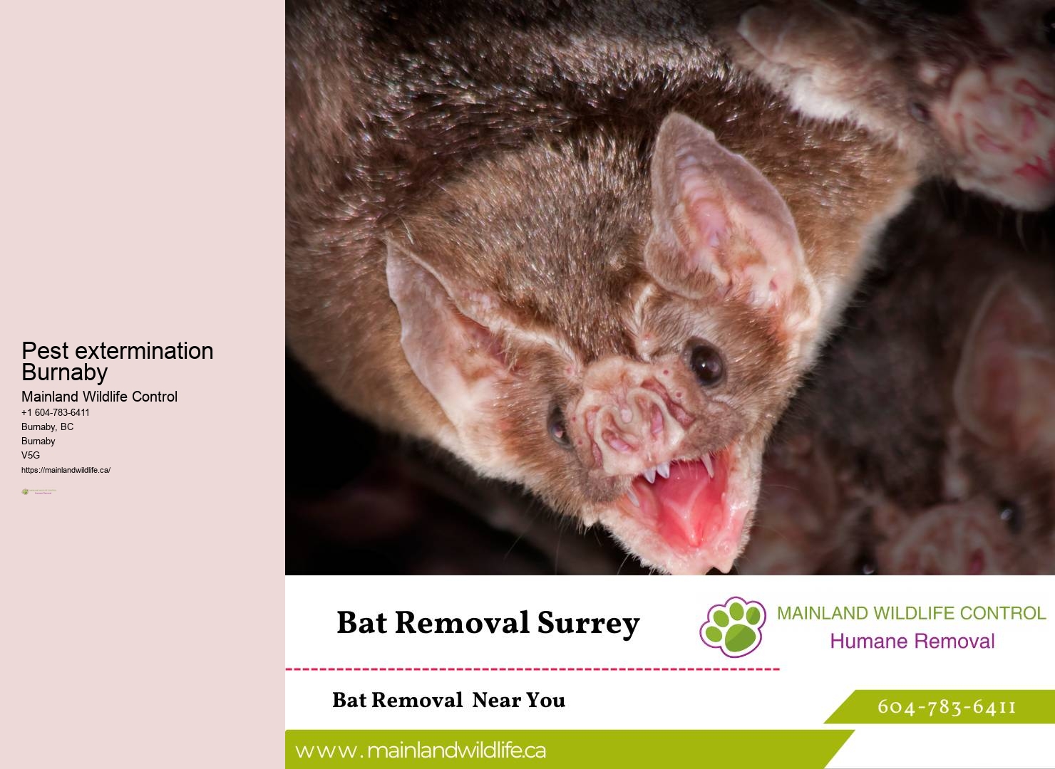 Guaranteed Pest Eradication Burnaby