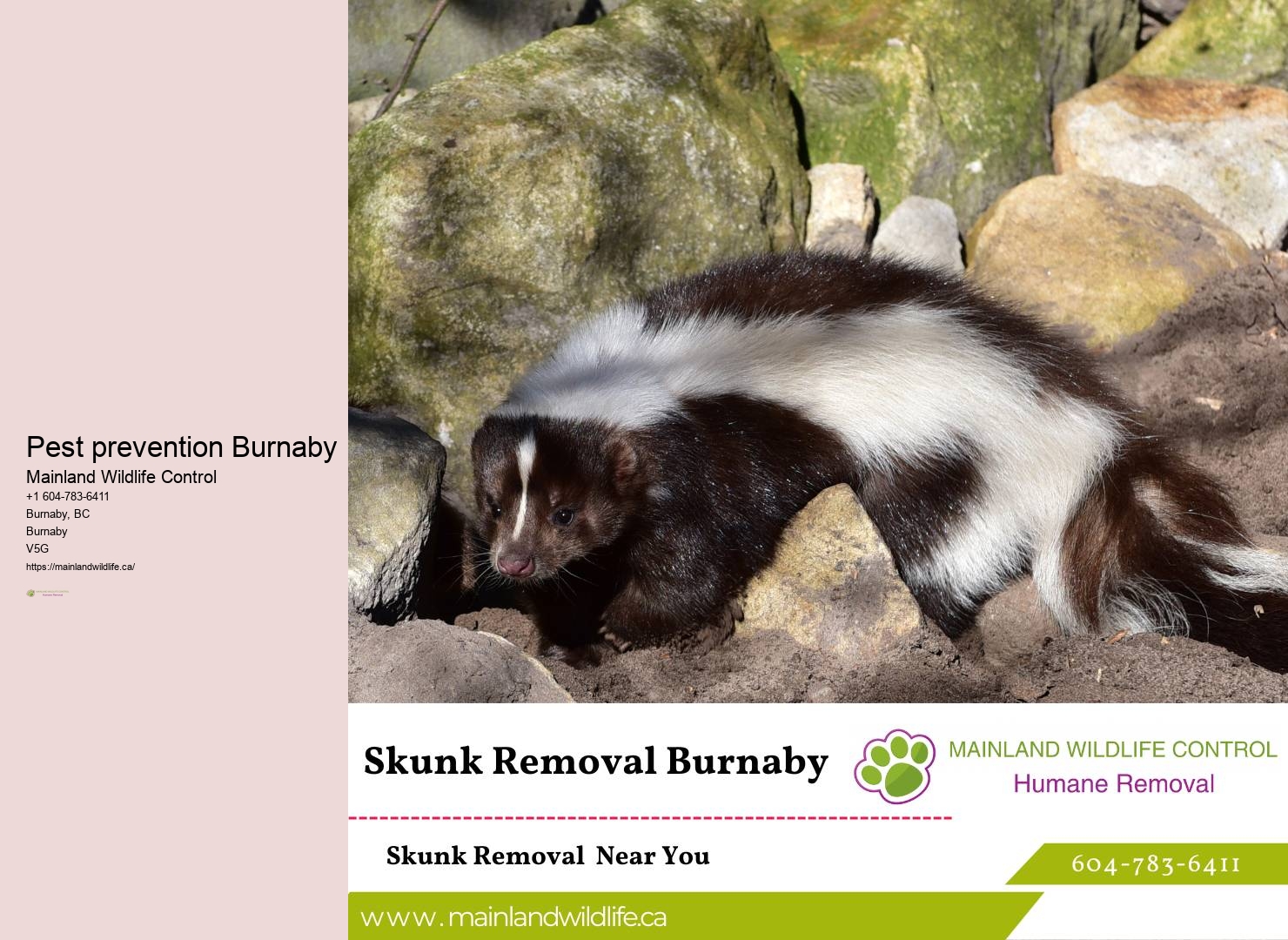 Reliable Residential Pest Eradication Burnaby