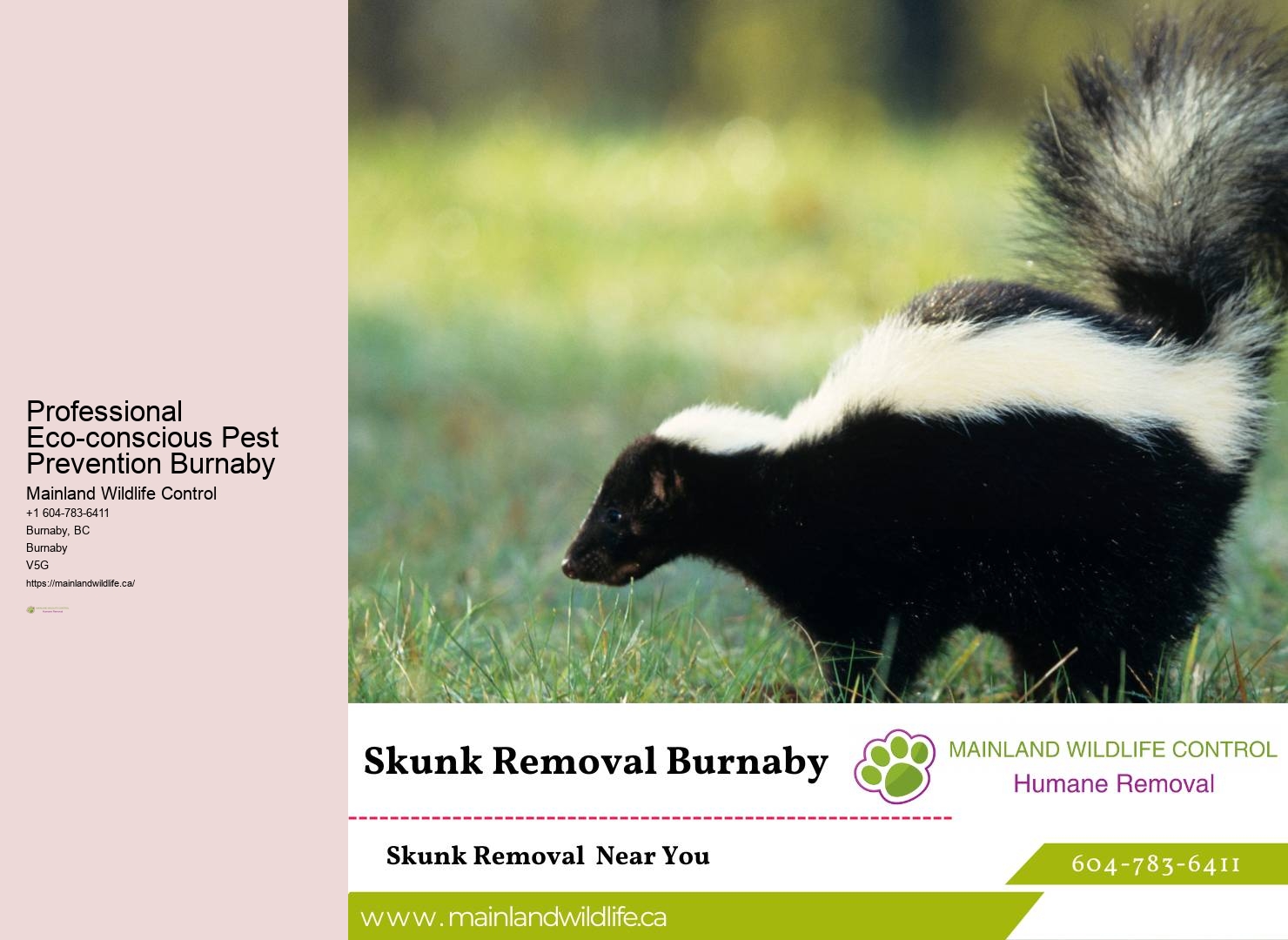 Proven Residential Pest Control Solutions Burnaby