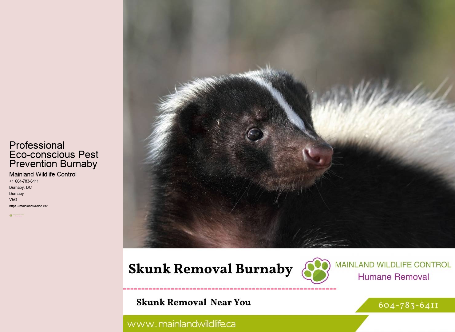 Natural Pest Control Burnaby