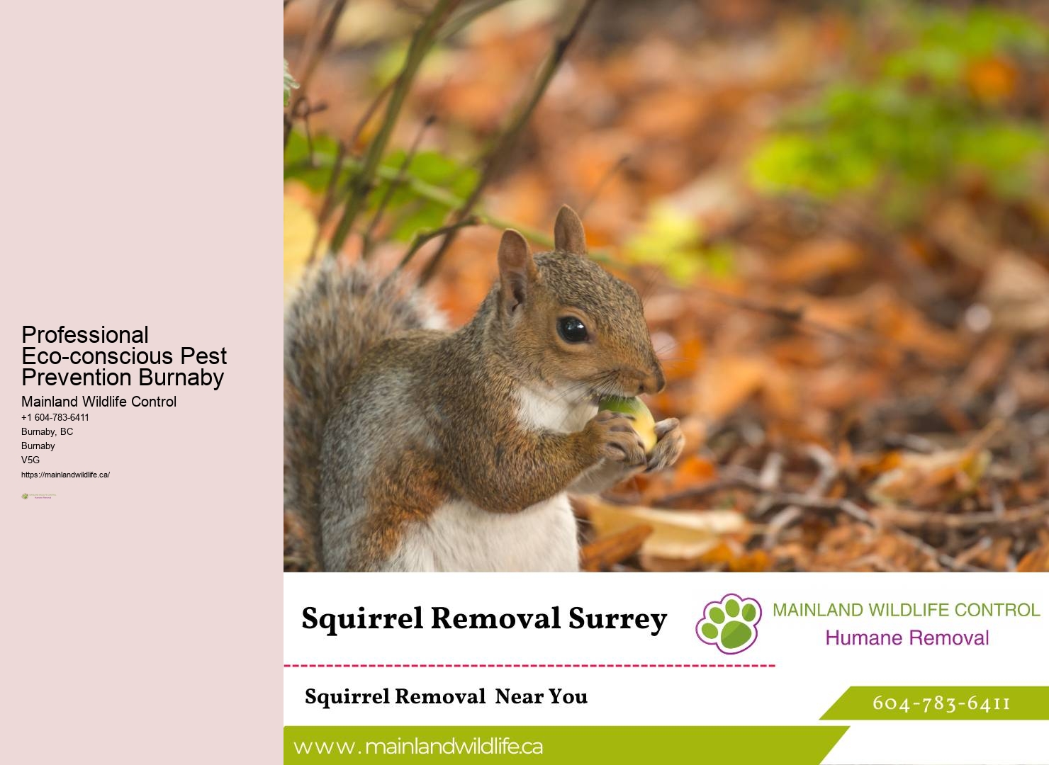 Pest extermination Burnaby