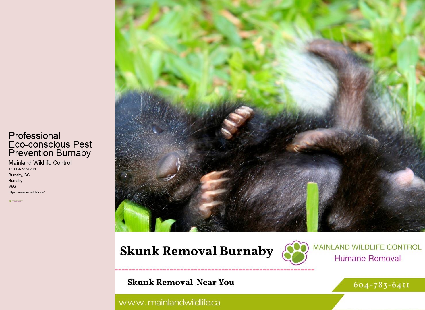 Advanced Pest Removal Burnaby Techniques