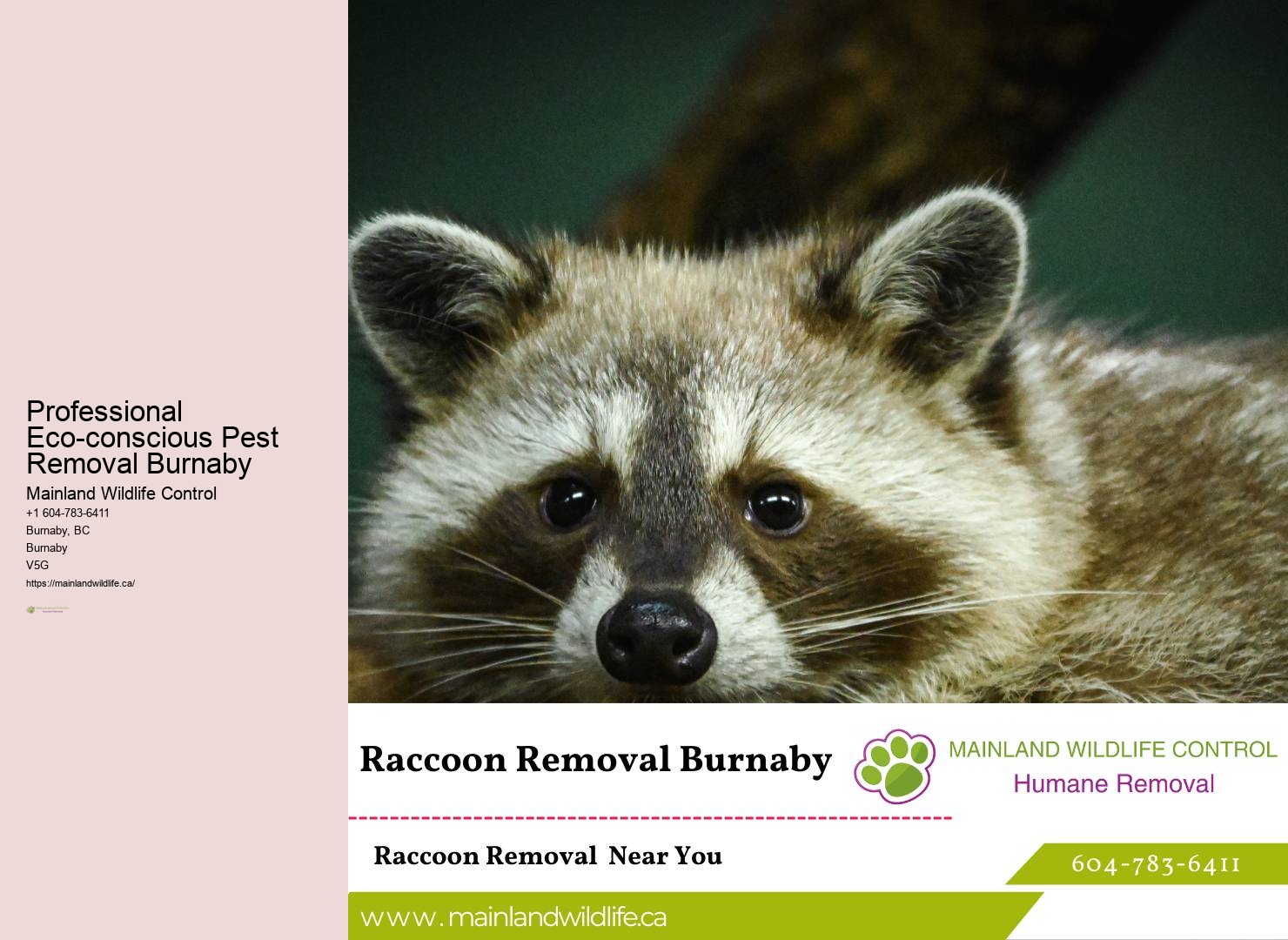 Locally-operated Pest Control Business Burnaby