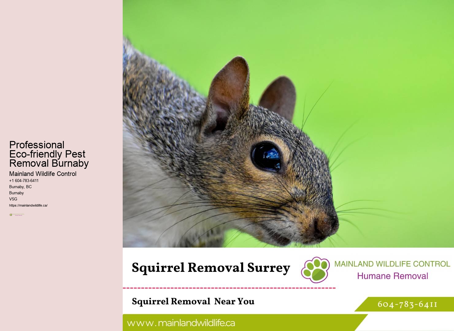 Comprehensive Commercial Pest Prevention Burnaby