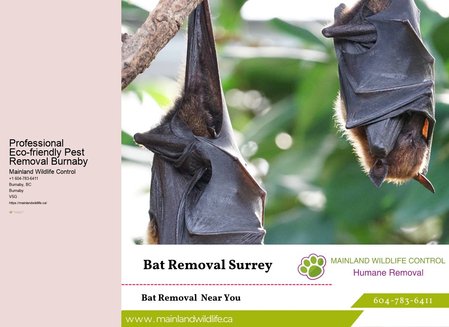 Pest Detective Burnaby