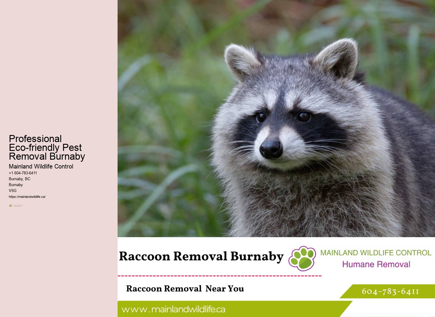 Non-invasive Pest Management Burnaby