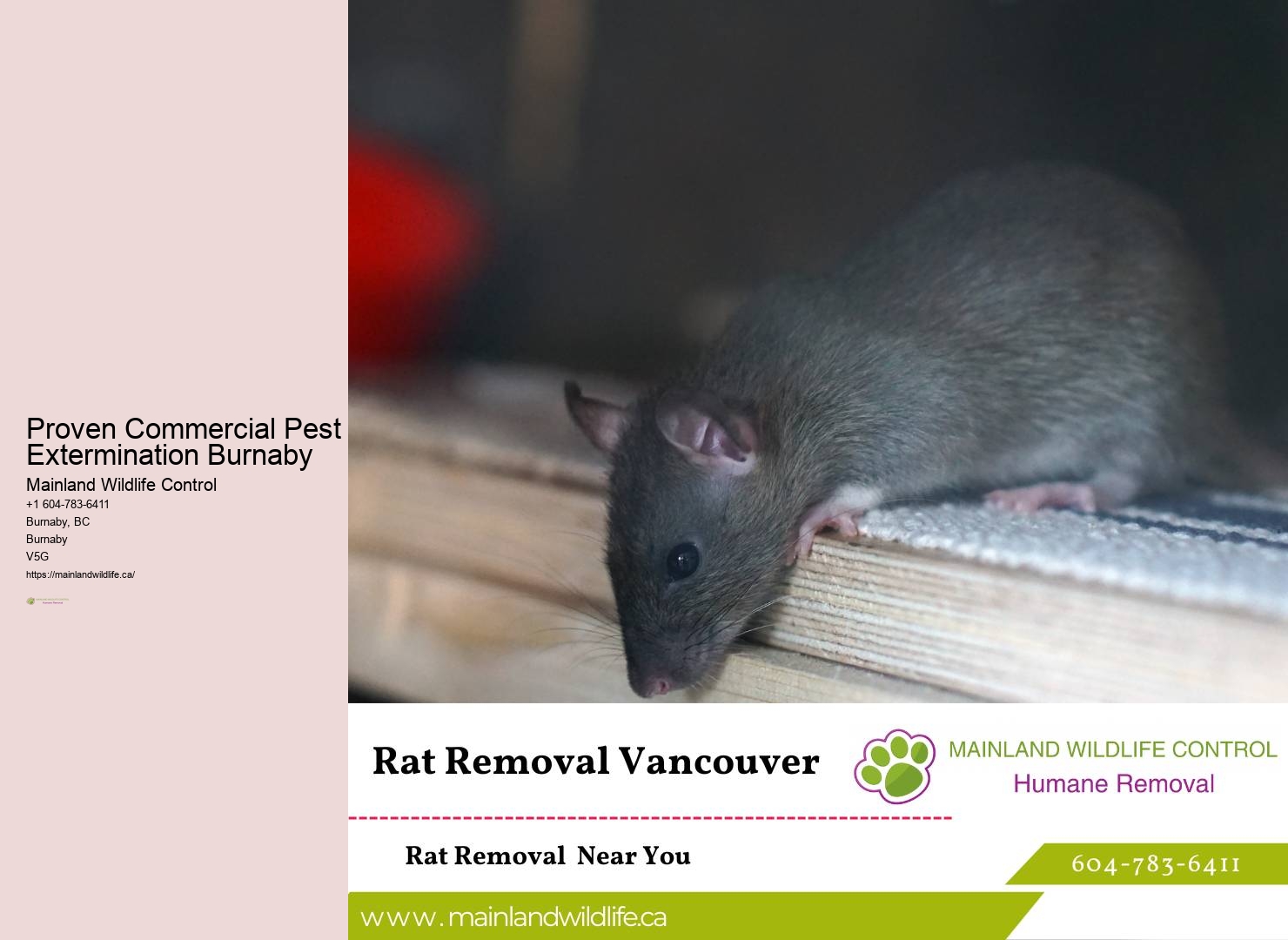 Pest Control Technicians Burnaby