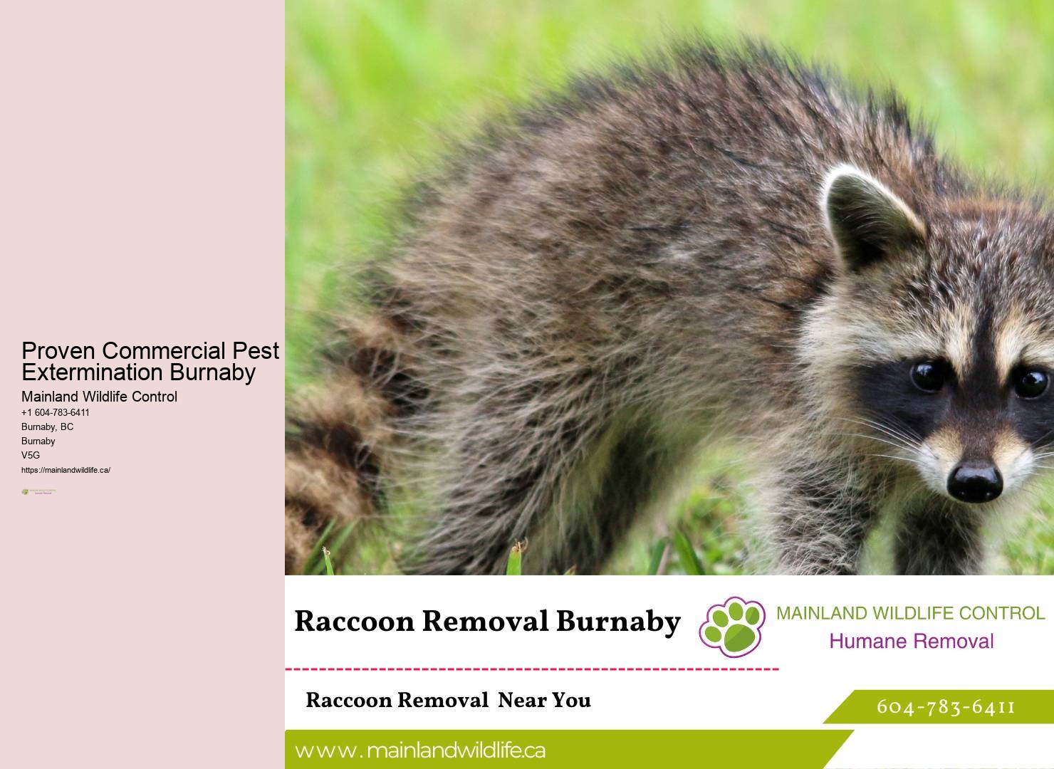 Pest Control Treatments Burnaby