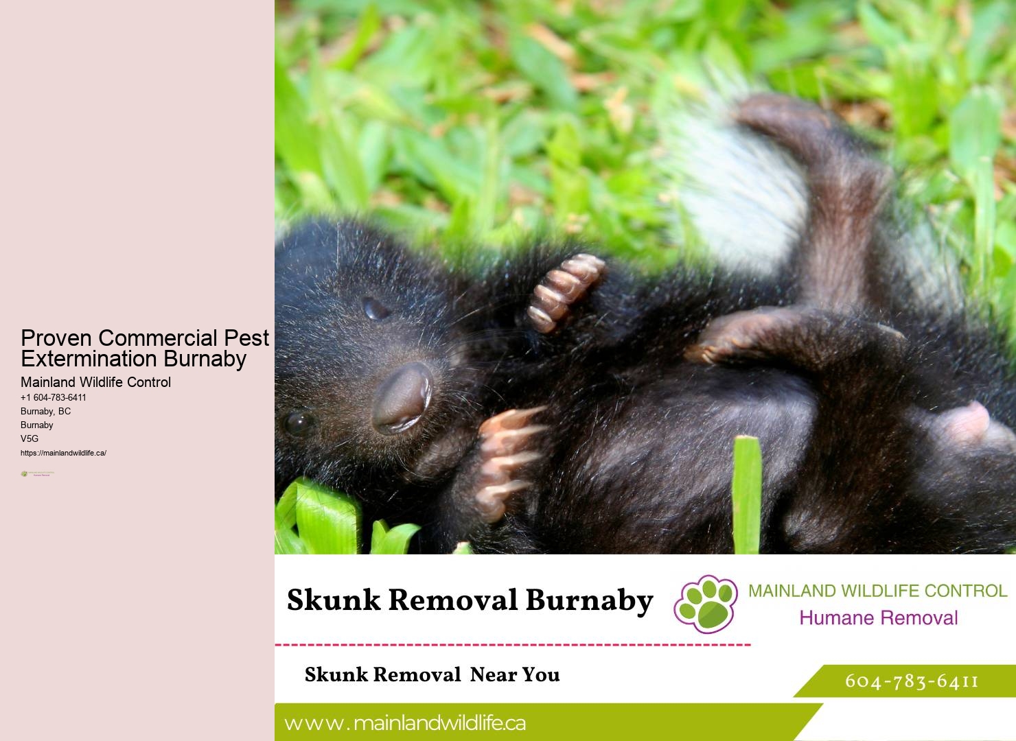 Burnaby pest inspection