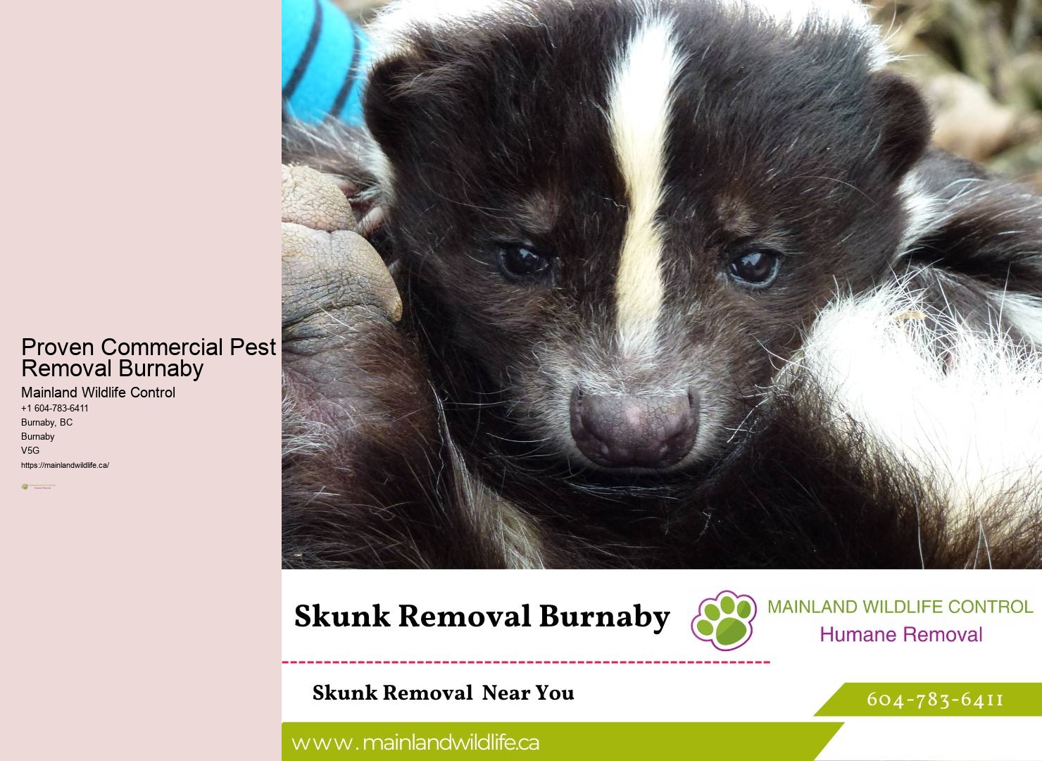 Bespoke Pest Control Services Burnaby