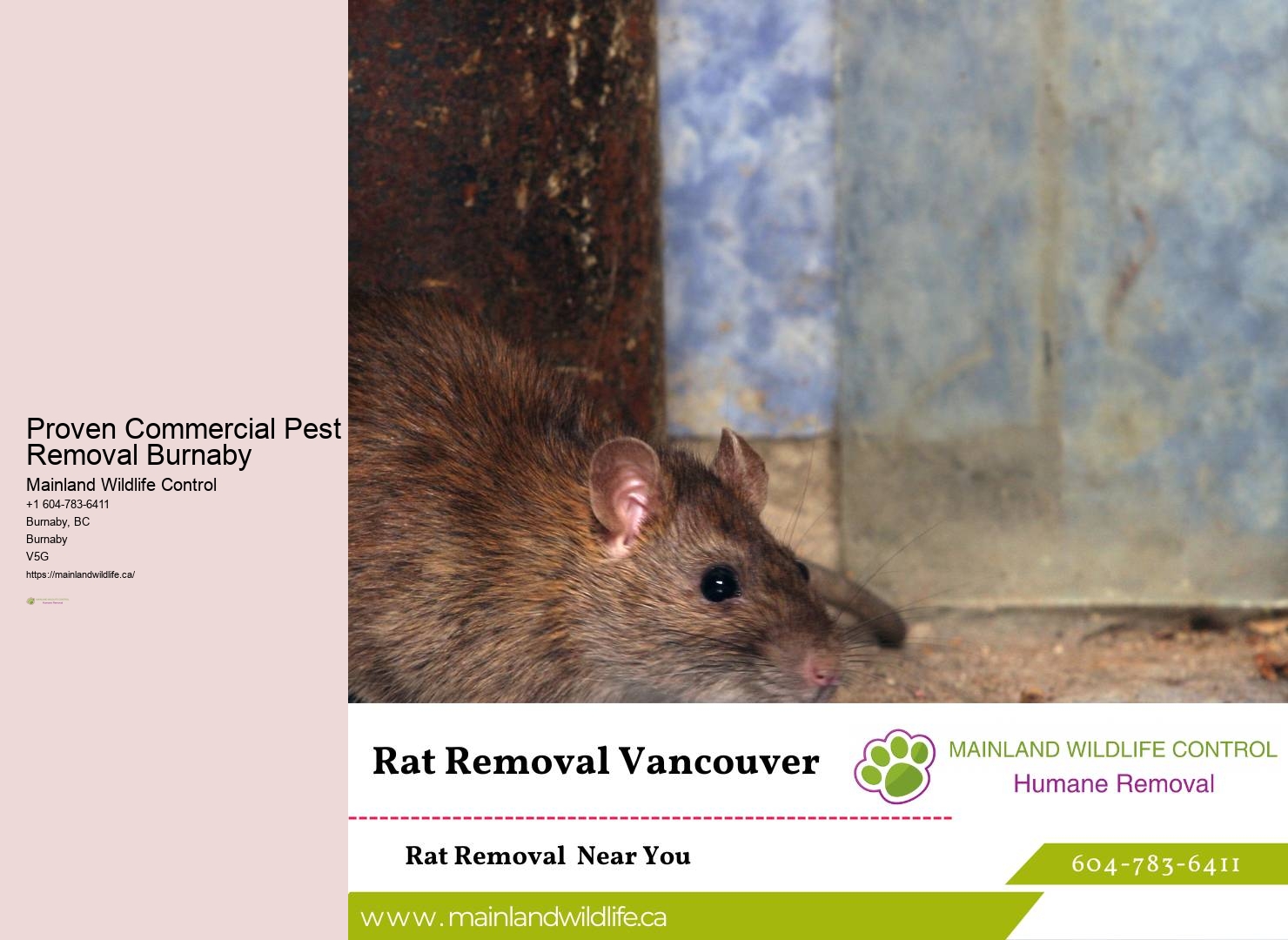 Professional Pest Control Consultation Burnaby