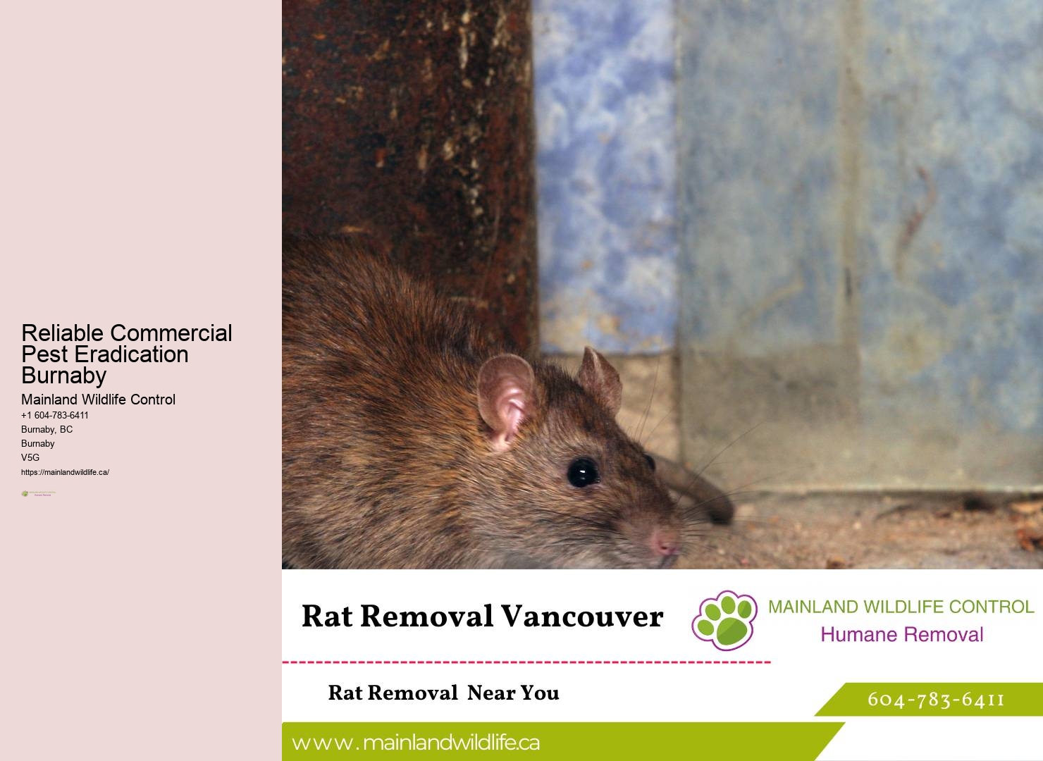 Sustainable Pest Control Practices Burnaby