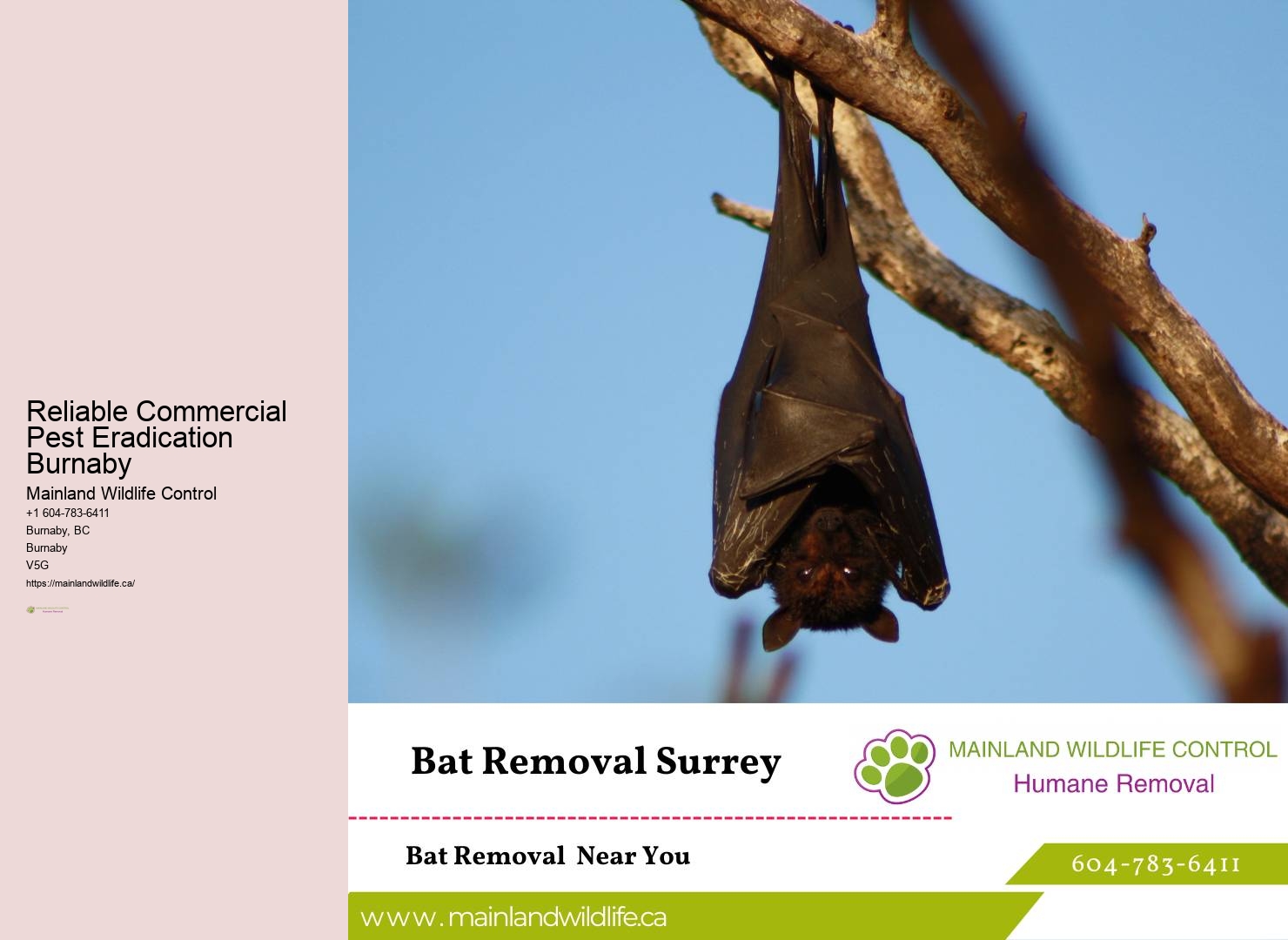 Intelligent Pest Control Strategies Burnaby