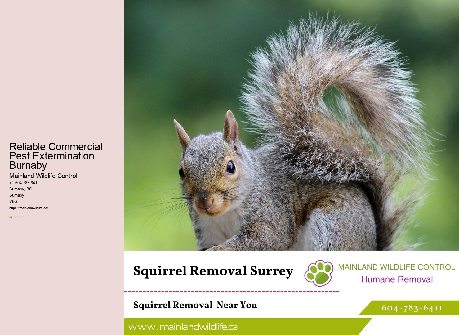 Reliable Residential Pest Prevention Burnaby